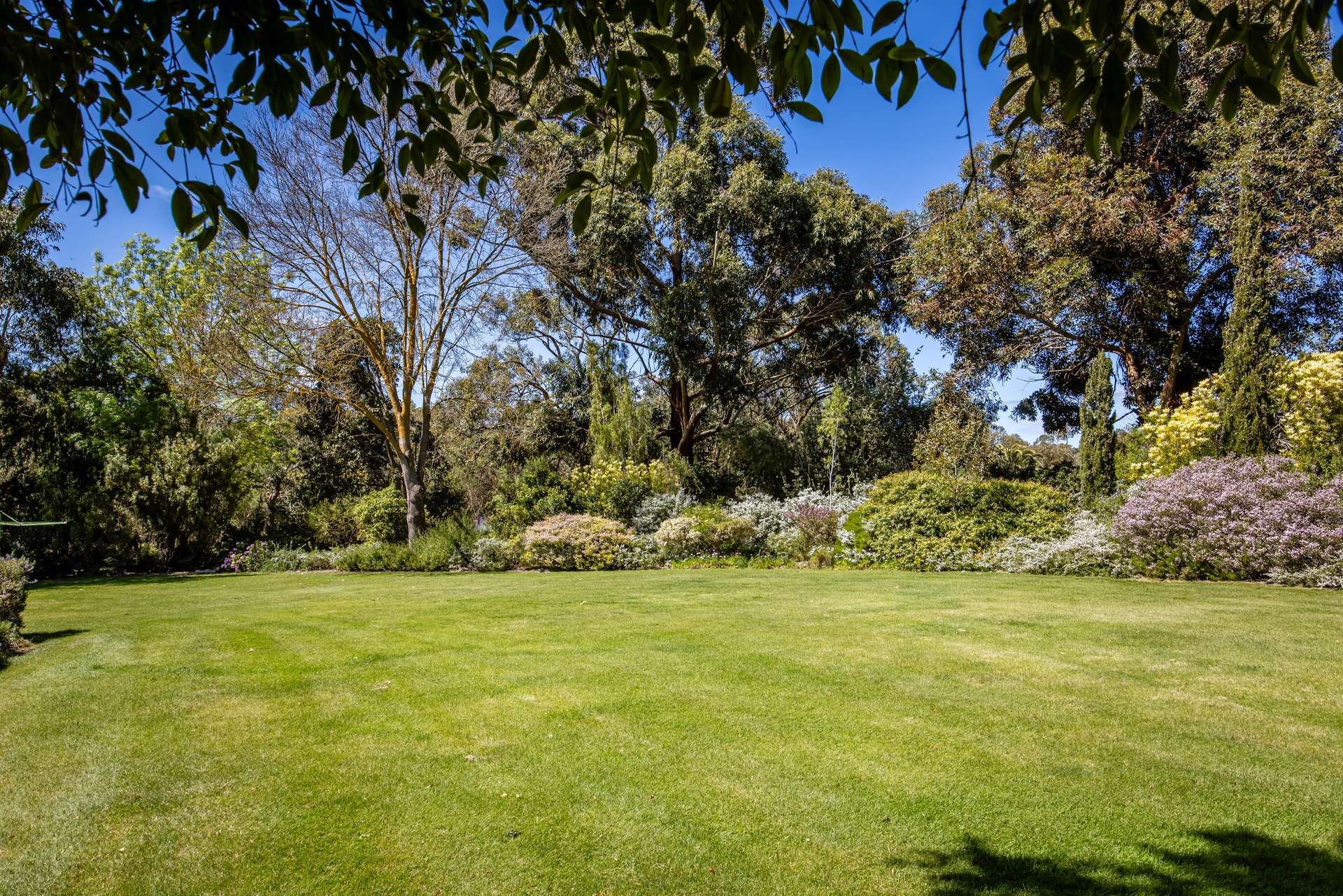 34 Martins Road, Naracoorte For Sale by Farmbuy.com - image 22