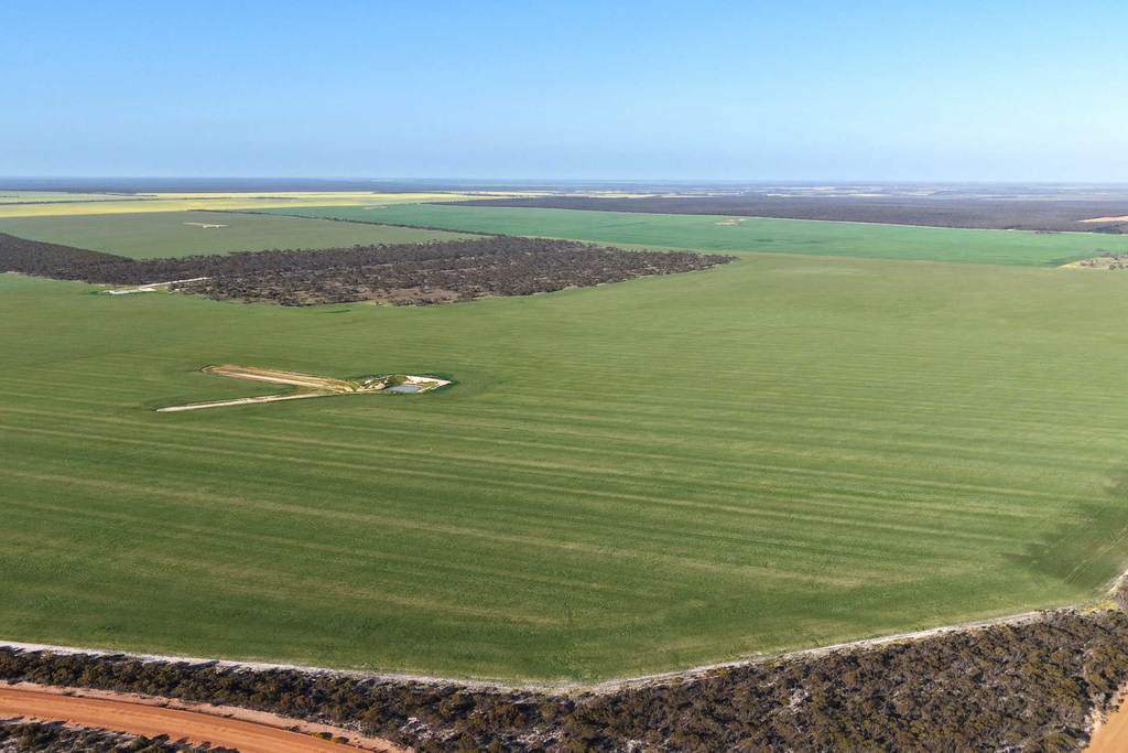1663 Lake North Road, Jacup WA 6337