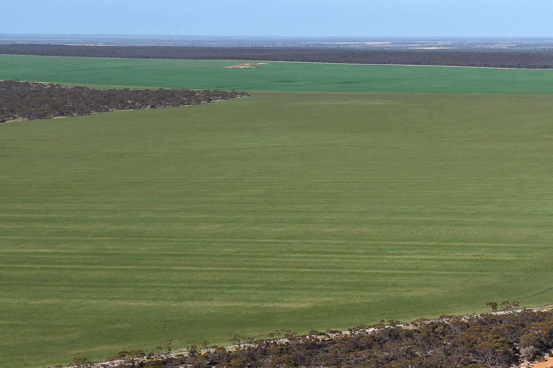 1663 Lake North Road, Jacup For Sale by Farmbuy.com - image 20