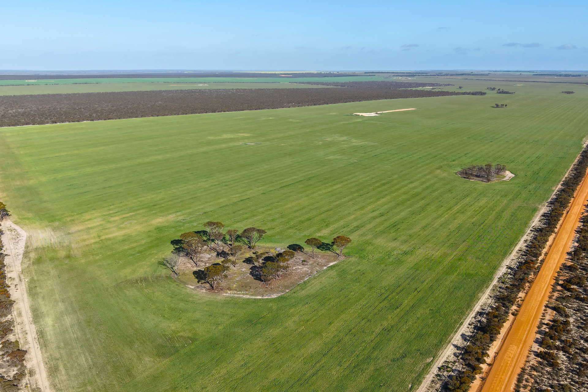 1663 Lake North Road, Jacup For Sale by Farmbuy.com - image 24