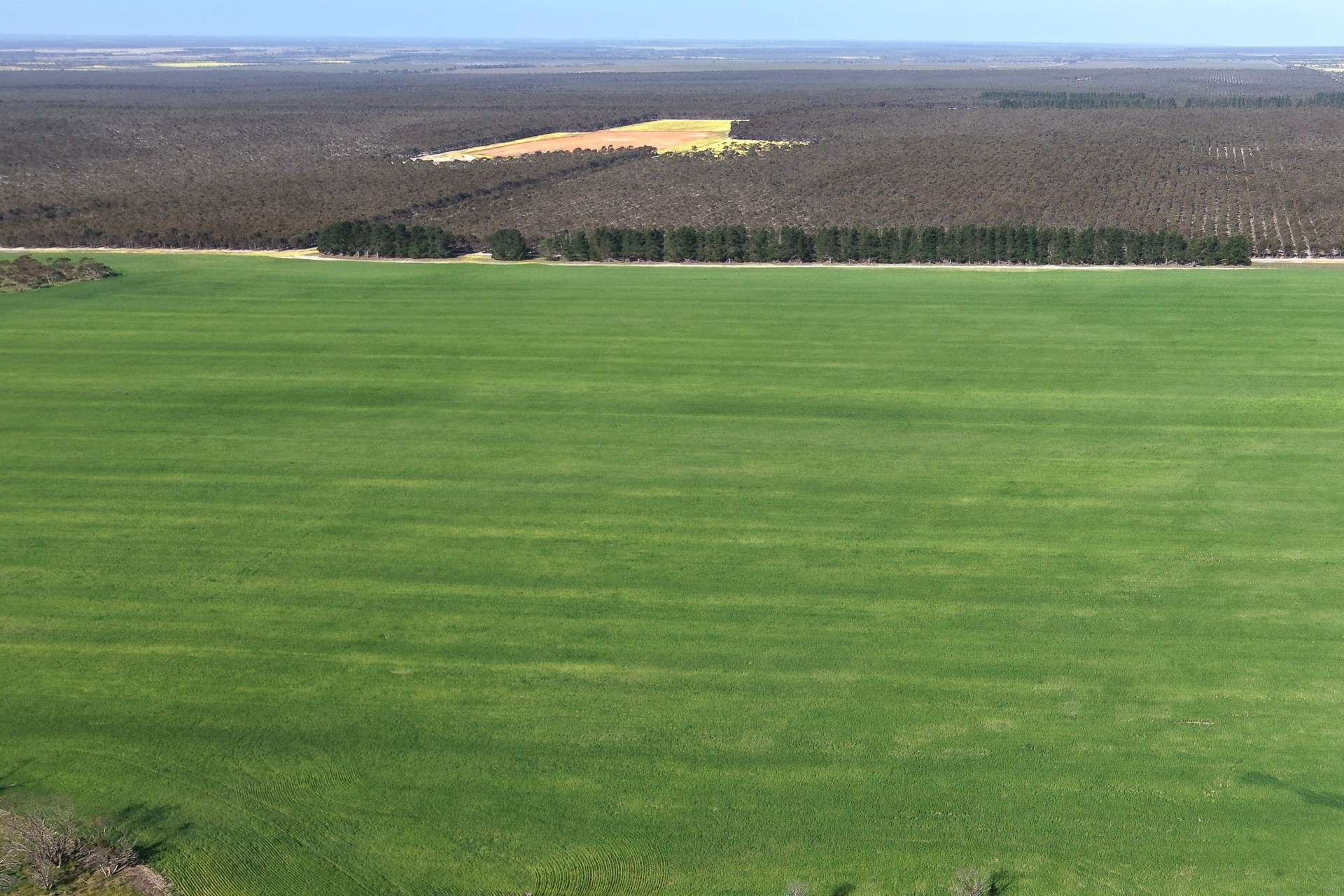 1663 Lake North Road, Jacup For Sale by Farmbuy.com - image 18