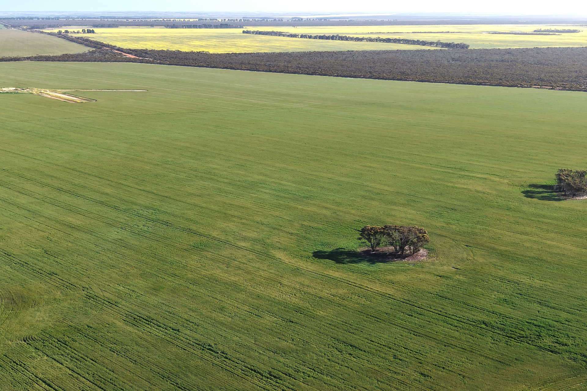 1663 Lake North Road, Jacup For Sale by Farmbuy.com - image 7