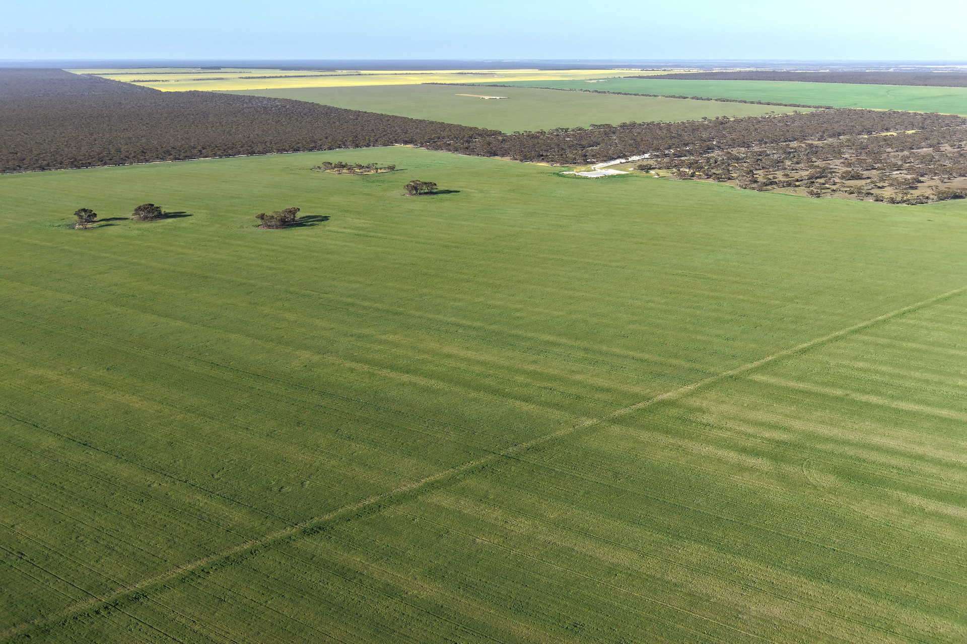 1663 Lake North Road, Jacup For Sale by Farmbuy.com - image 23