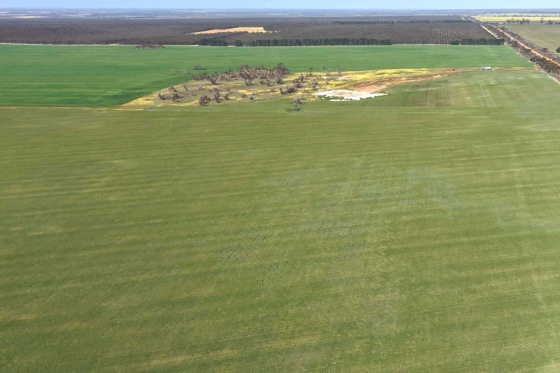 1663 Lake North Road, Jacup For Sale by Farmbuy.com - image 17