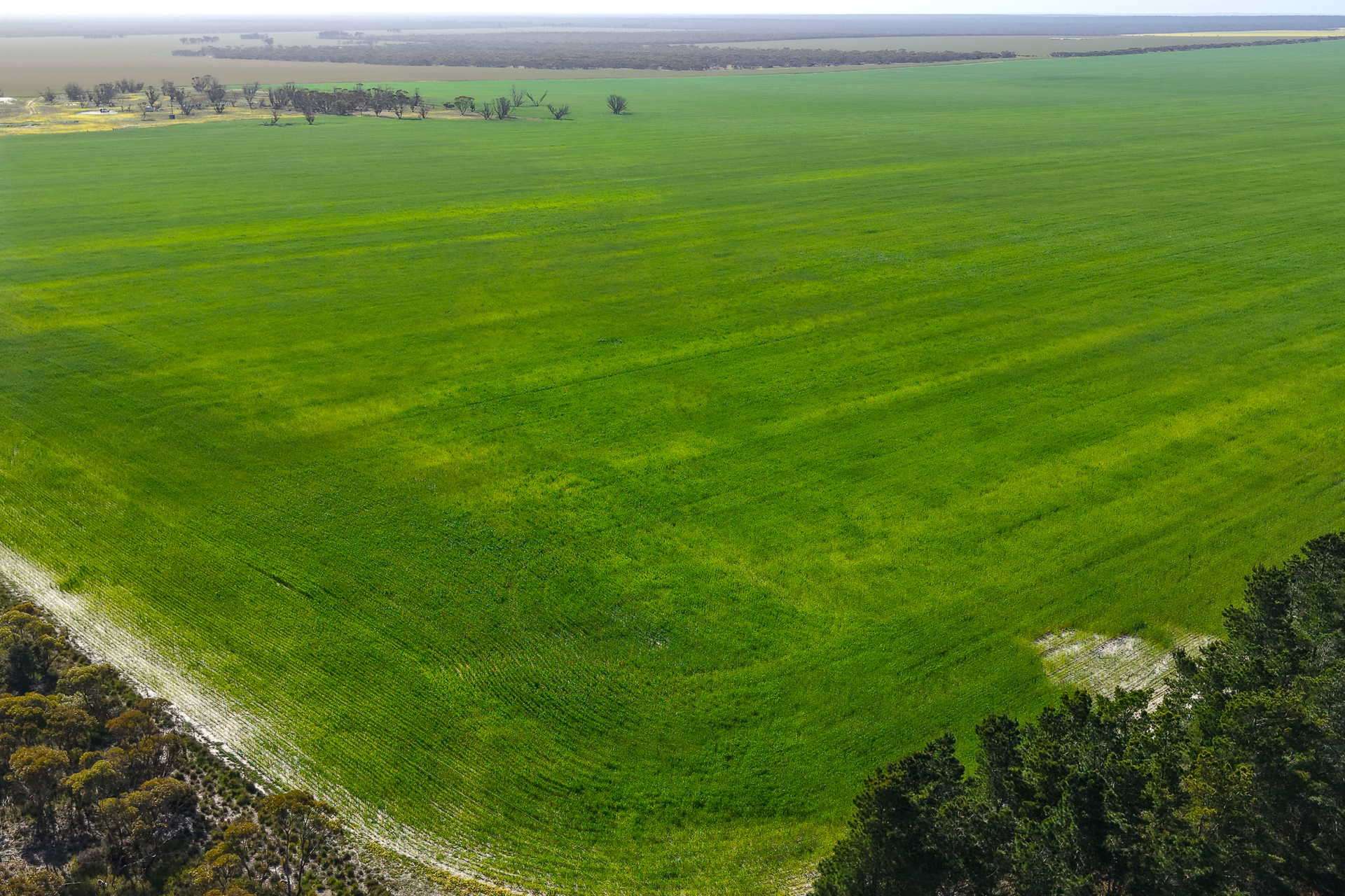1663 Lake North Road, Jacup For Sale by Farmbuy.com - image 19