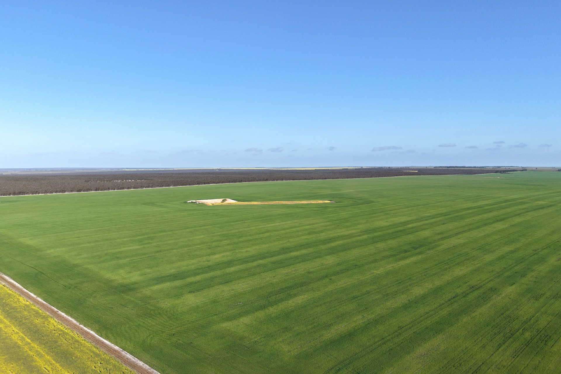 1663 Lake North Road, Jacup For Sale by Farmbuy.com - image 3