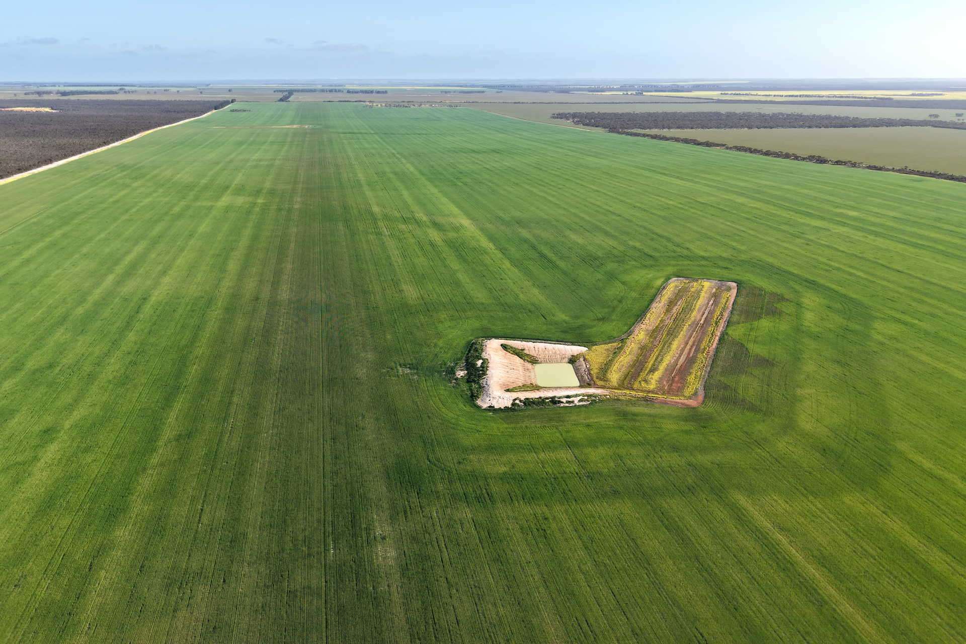 1663 Lake North Road, Jacup For Sale by Farmbuy.com - image 2