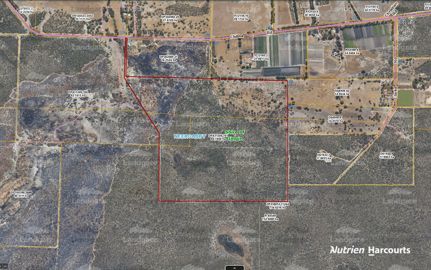 Lot 101 Chitna Road, Neergabby For Sale by Farmbuy.com - image 1