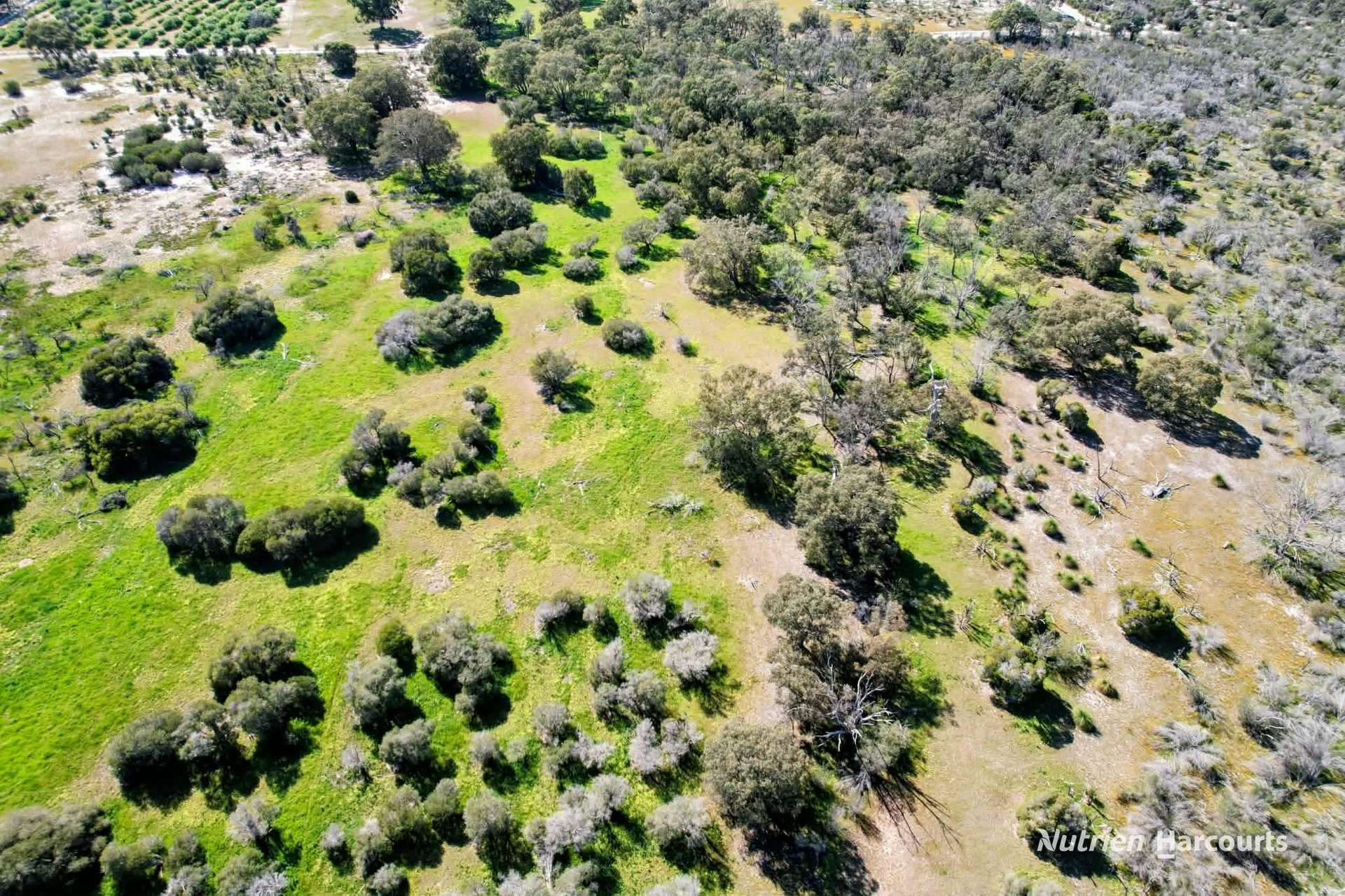 Lot 101 Chitna Road, Neergabby For Sale by Farmbuy.com - image 4