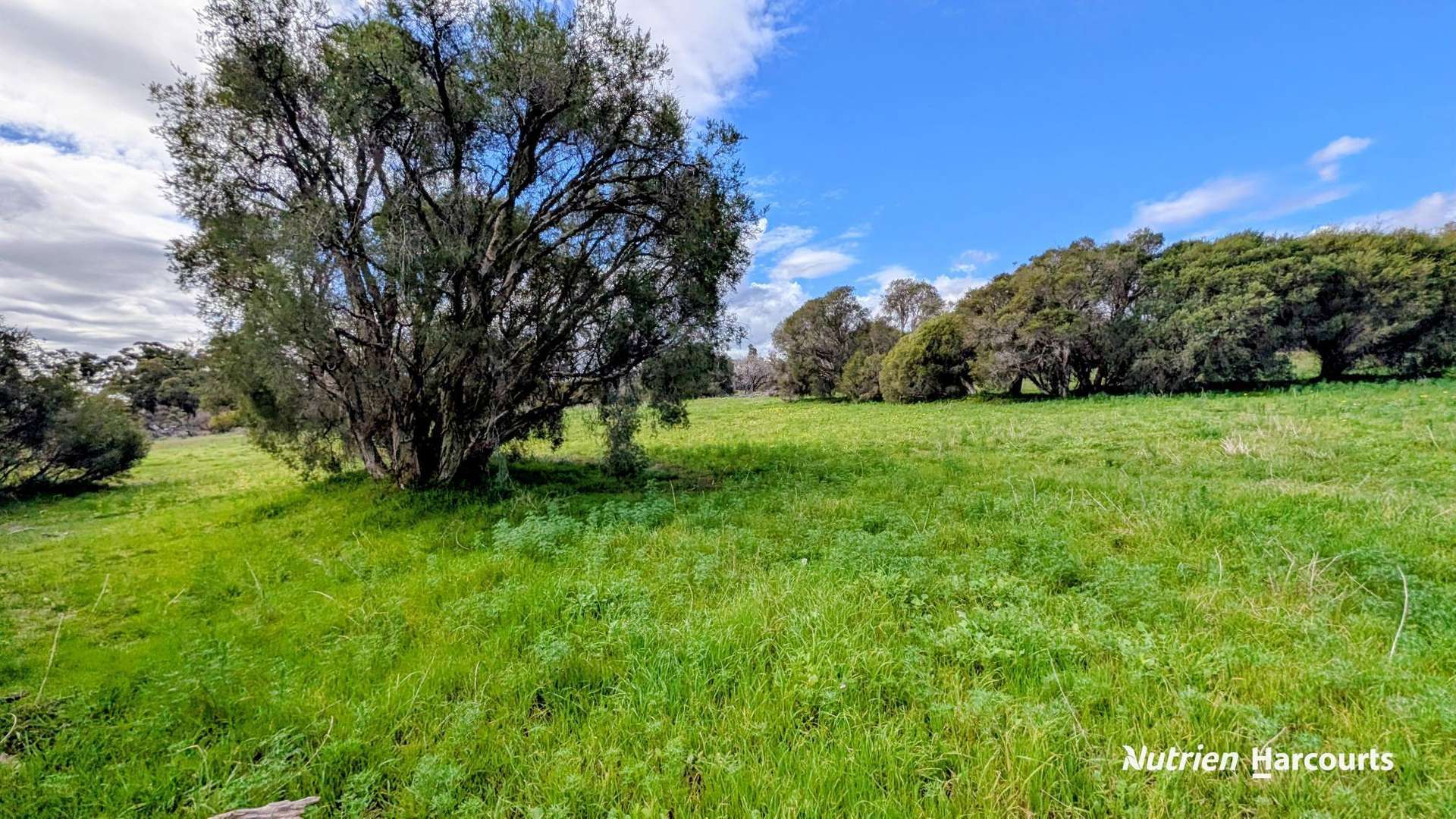 Lot 101 Chitna Road, Neergabby For Sale by Farmbuy.com - image 5