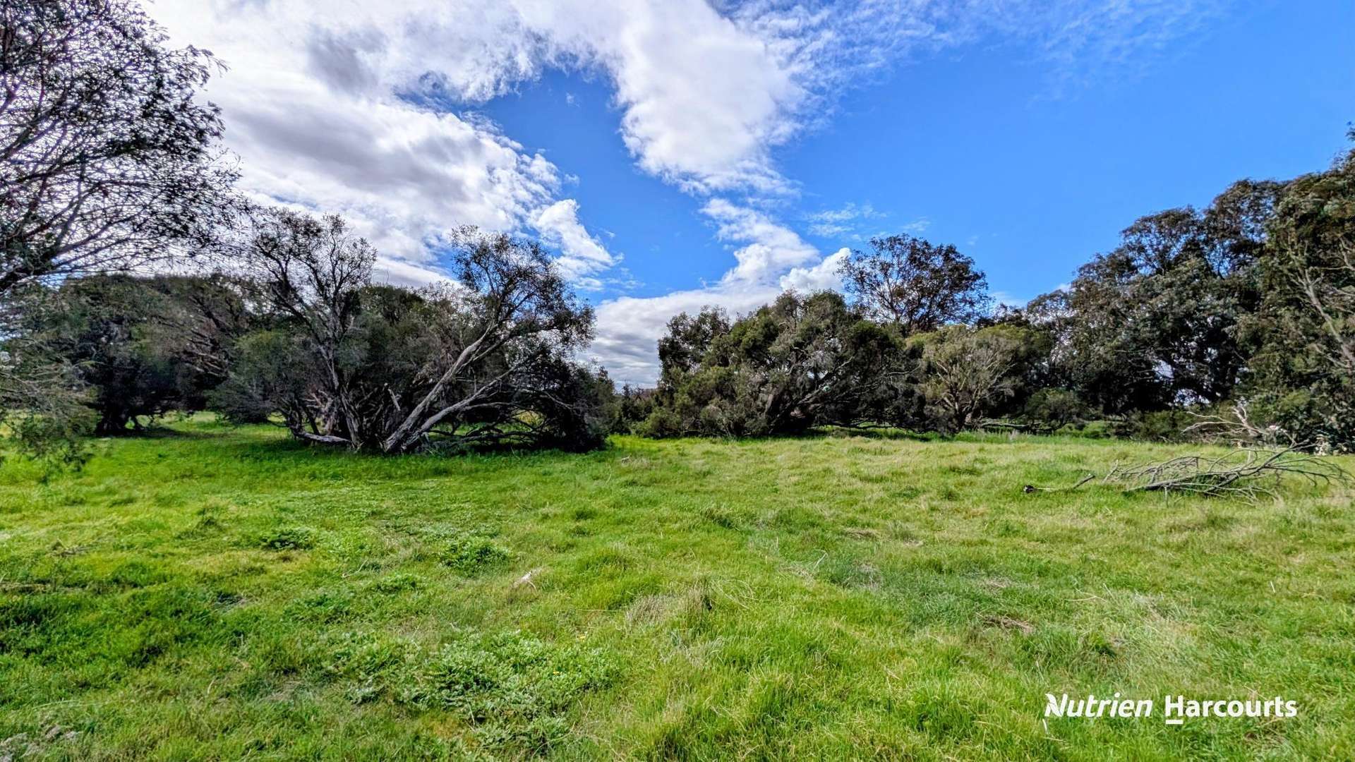 Lot 101 Chitna Road, Neergabby For Sale by Farmbuy.com - image 14