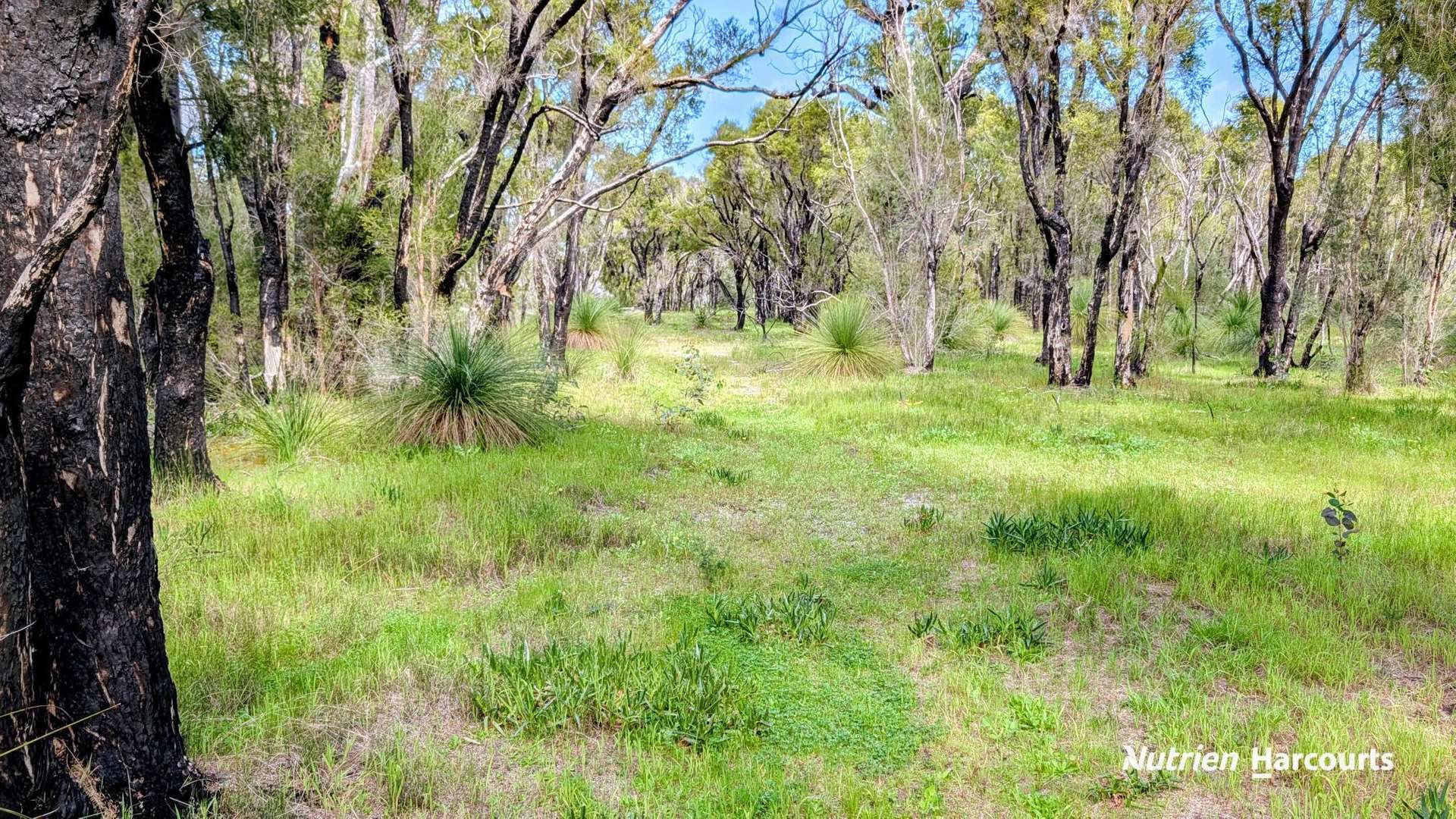 Lot 101 Chitna Road, Neergabby For Sale by Farmbuy.com - image 2