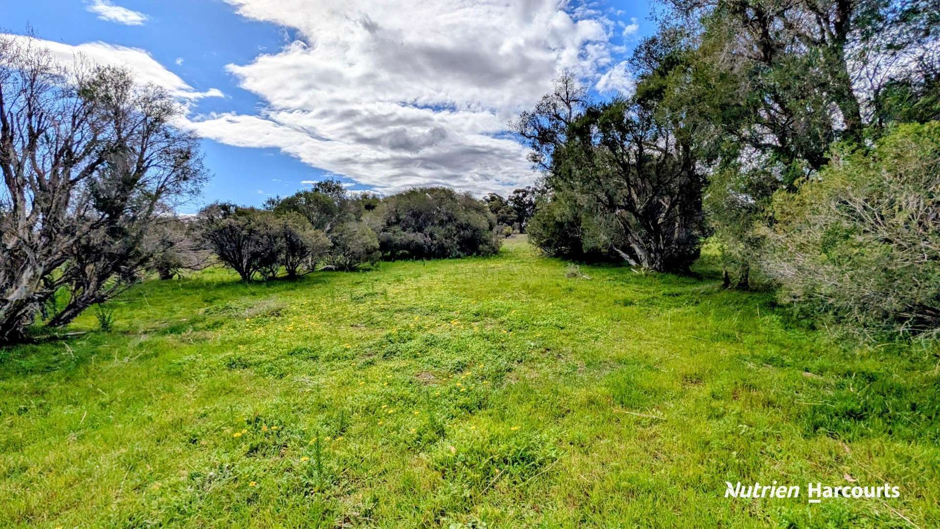 Lot 101 Chitna Road, Neergabby For Sale by Farmbuy.com - image 8