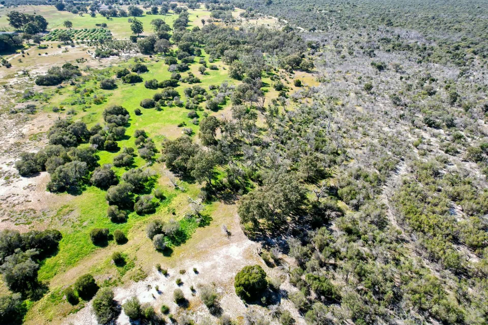 Lot 101 Chitna Road, Neergabby For Sale by Farmbuy.com - image 7