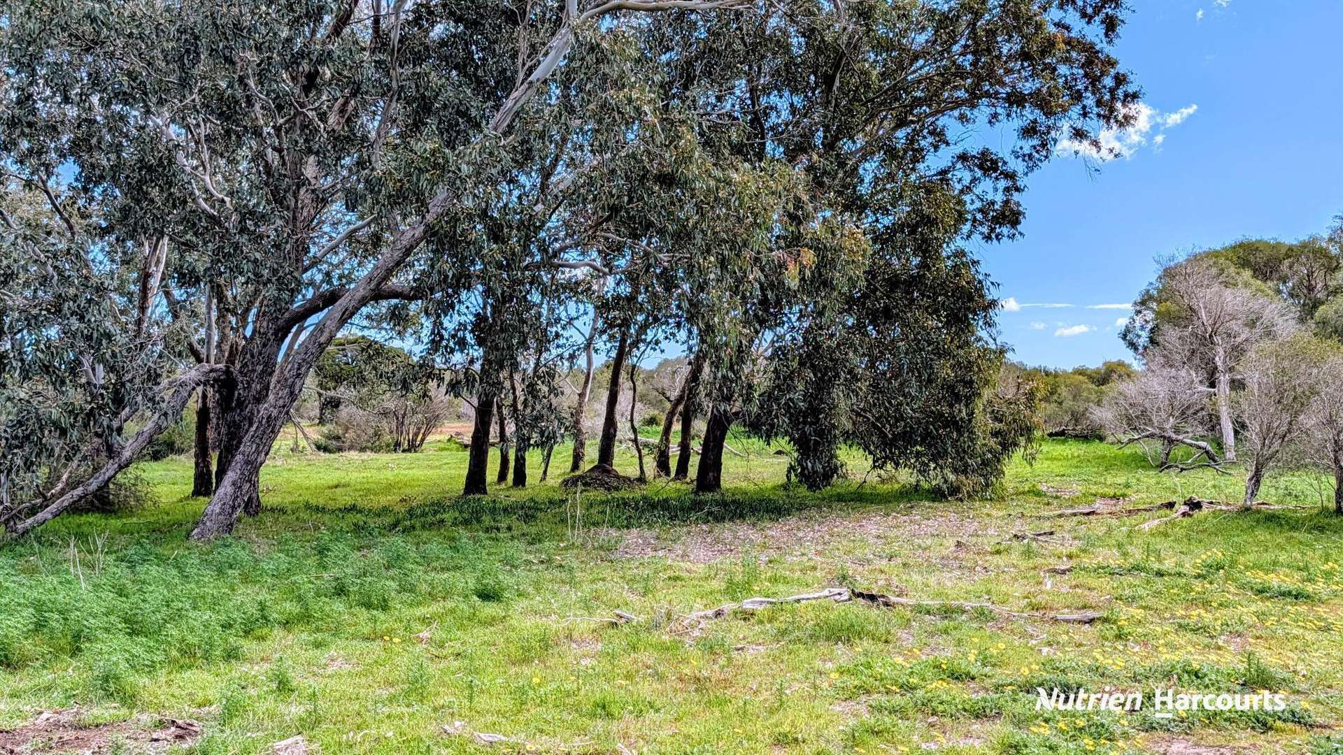 Lot 101 Chitna Road, Neergabby For Sale by Farmbuy.com - image 6