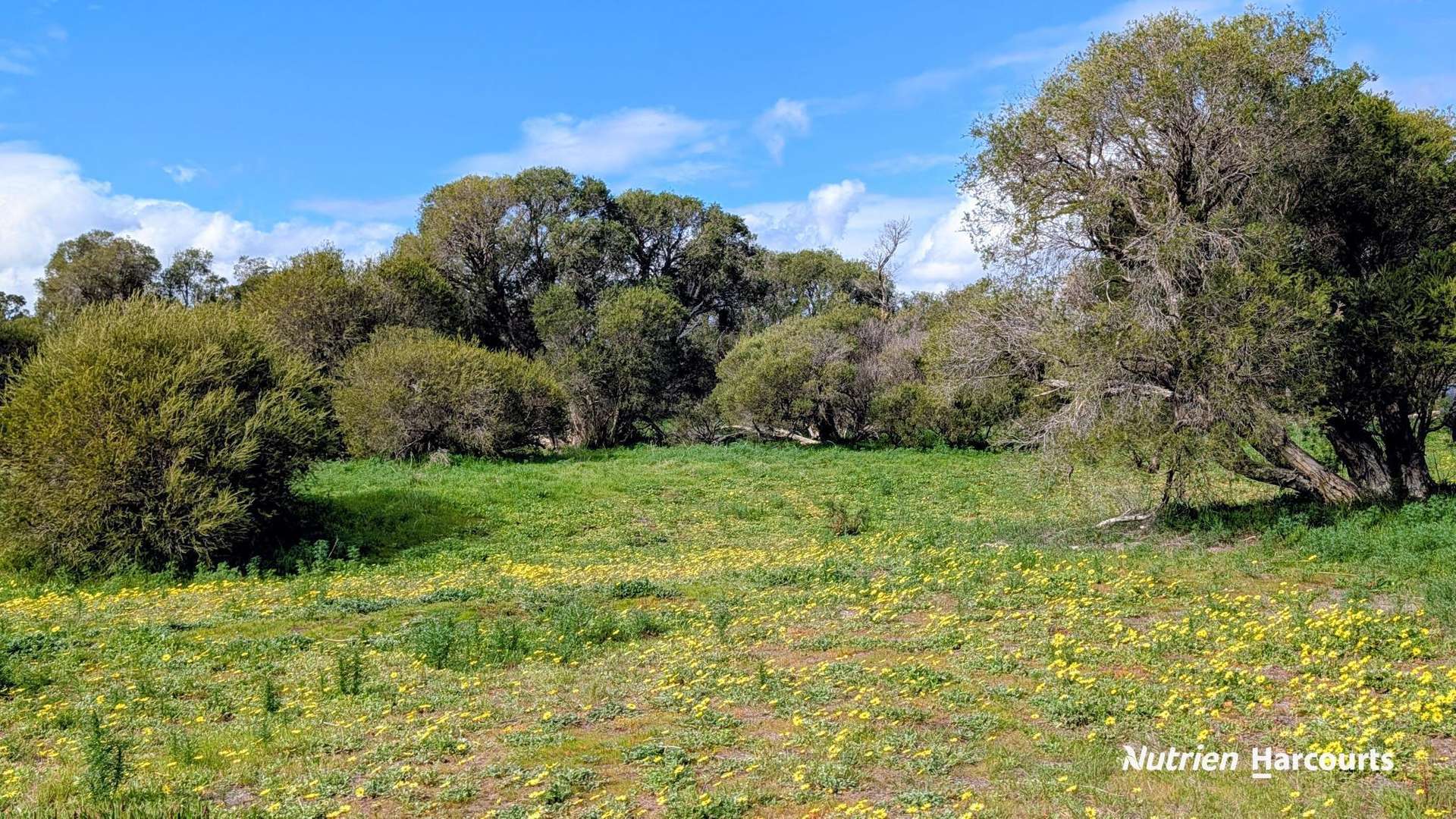 Lot 101 Chitna Road, Neergabby For Sale by Farmbuy.com - image 10