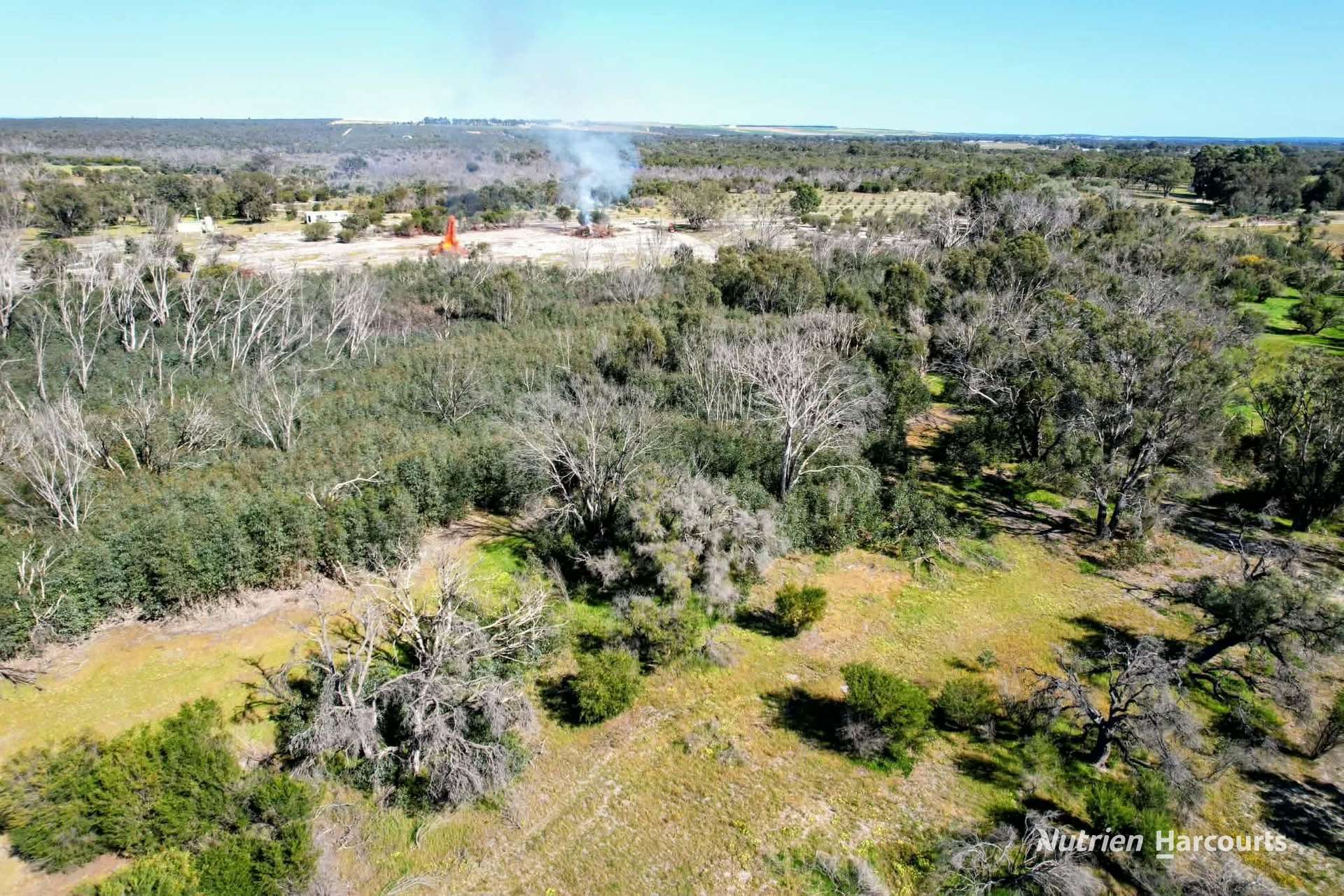 Lot 101 Chitna Road, Neergabby For Sale by Farmbuy.com - image 13
