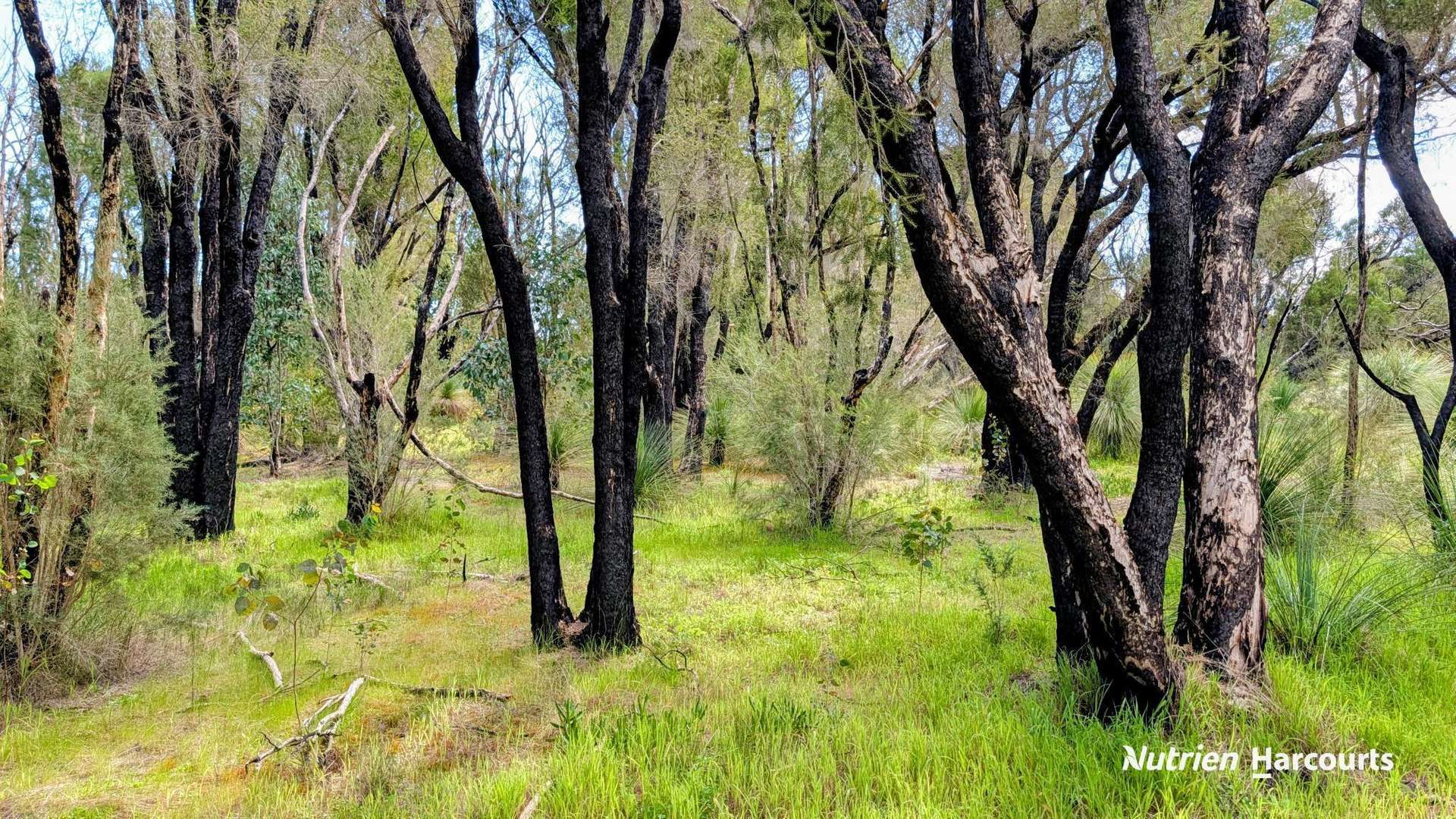 Lot 101 Chitna Road, Neergabby For Sale by Farmbuy.com - image 11