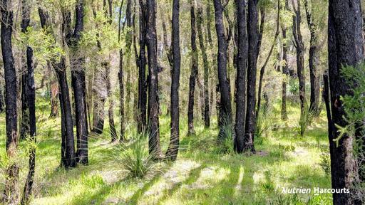 Lot 101 Chitna Road, Neergabby WA 6503