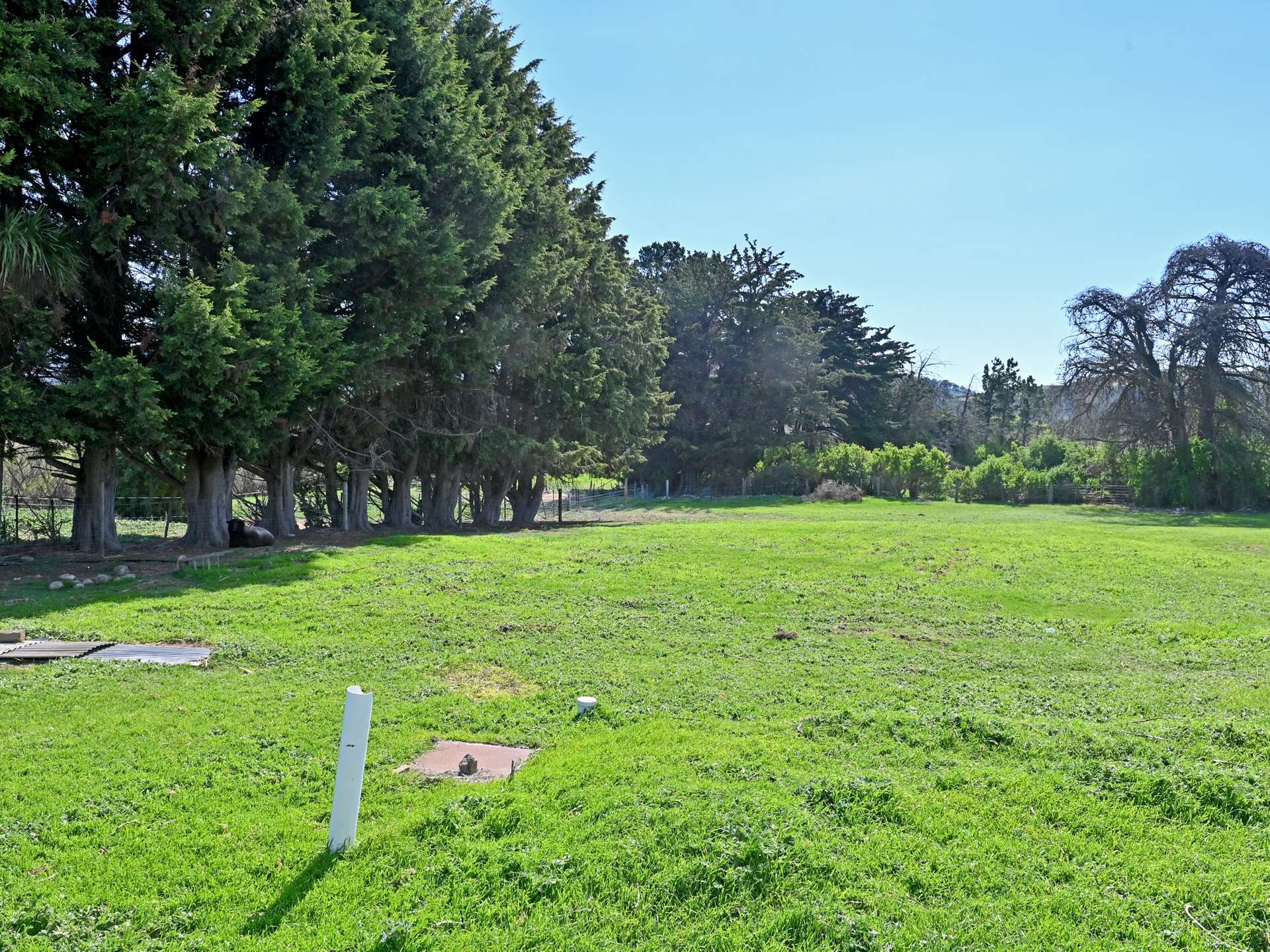 119 Stonefield Road, Brighton For Sale by Farmbuy.com - image 24