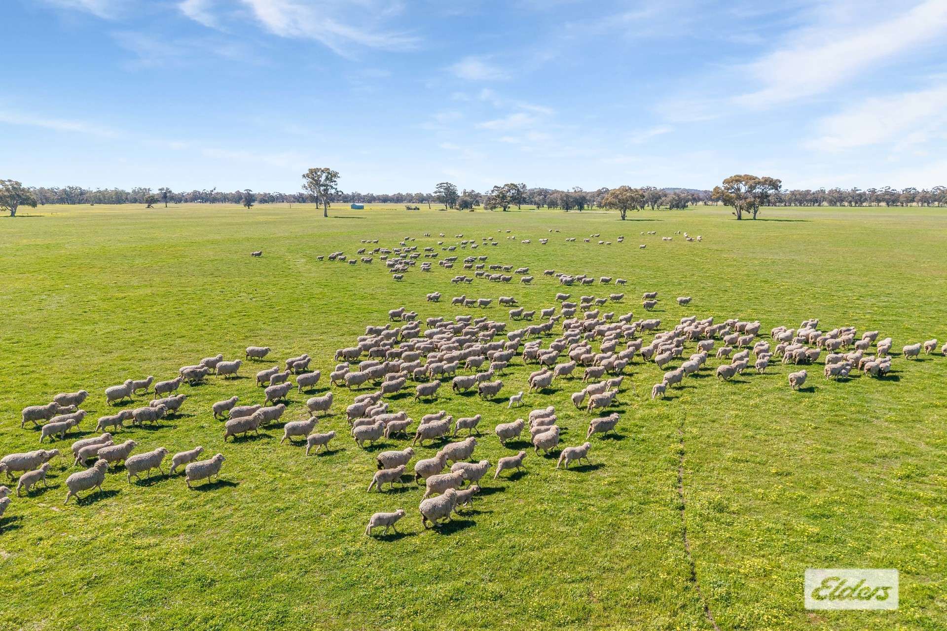 Brenanah-Kurting Road, Kurting For Sale by Farmbuy.com - image 7