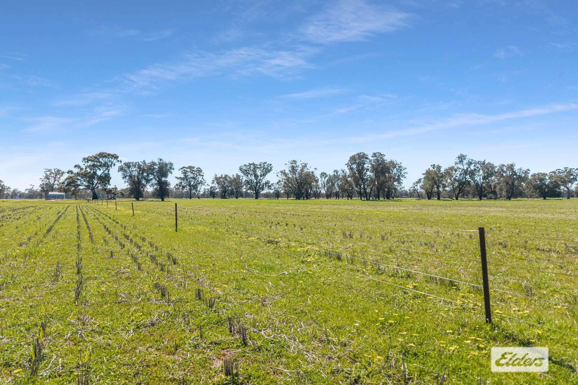 Brenanah-Kurting Road, Kurting For Sale by Farmbuy.com - image 4