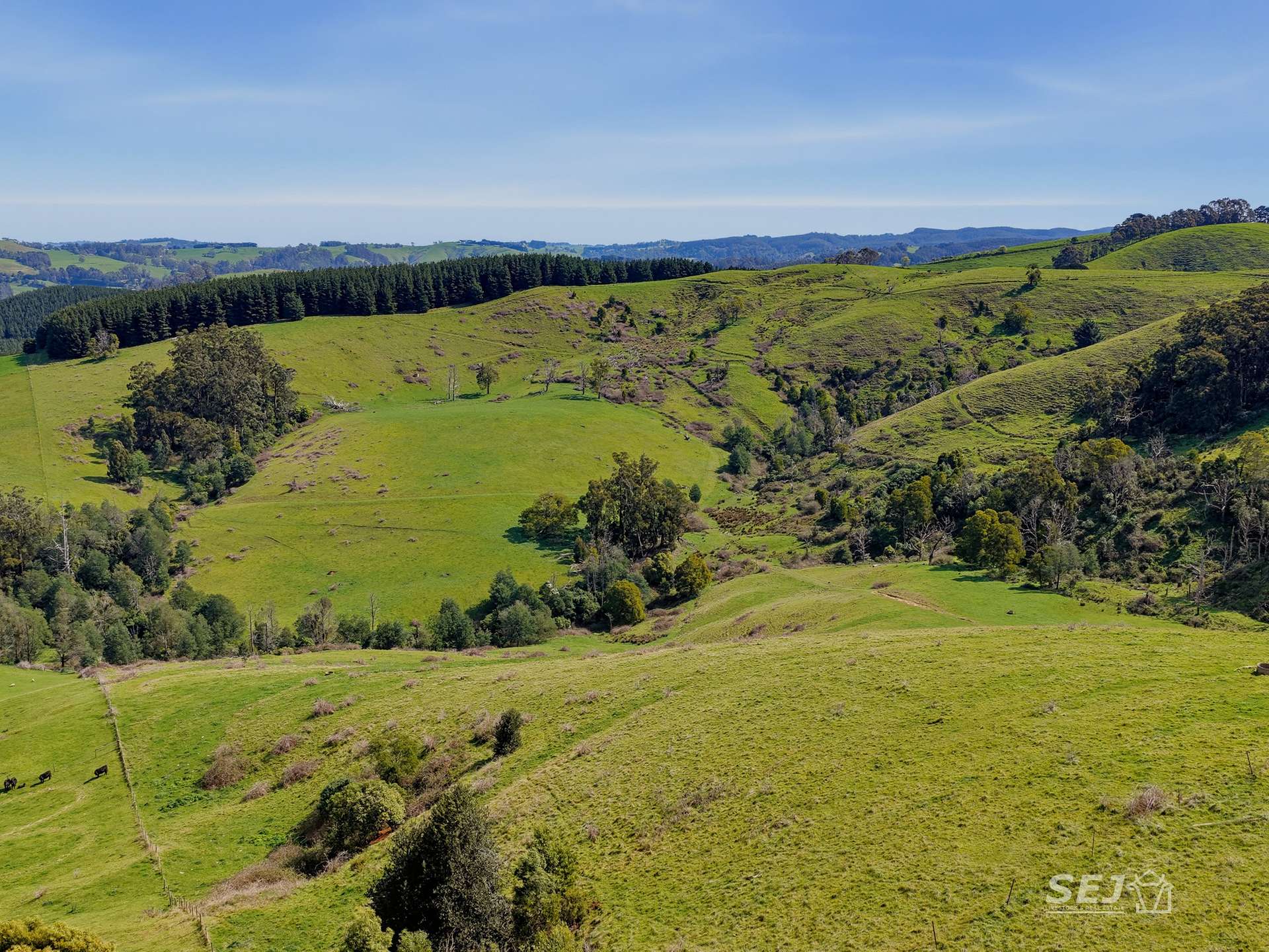 555 Mirboo - Yarragon Road, Allambee Reserve For Sale by Farmbuy.com - image 24