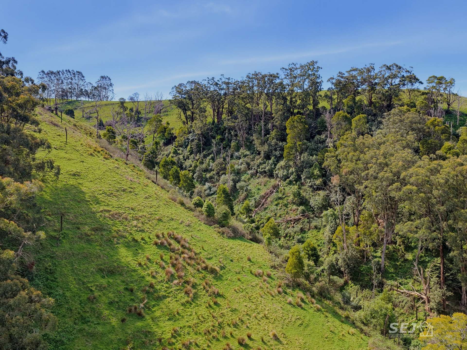 555 Mirboo - Yarragon Road, Allambee Reserve For Sale by Farmbuy.com - image 34