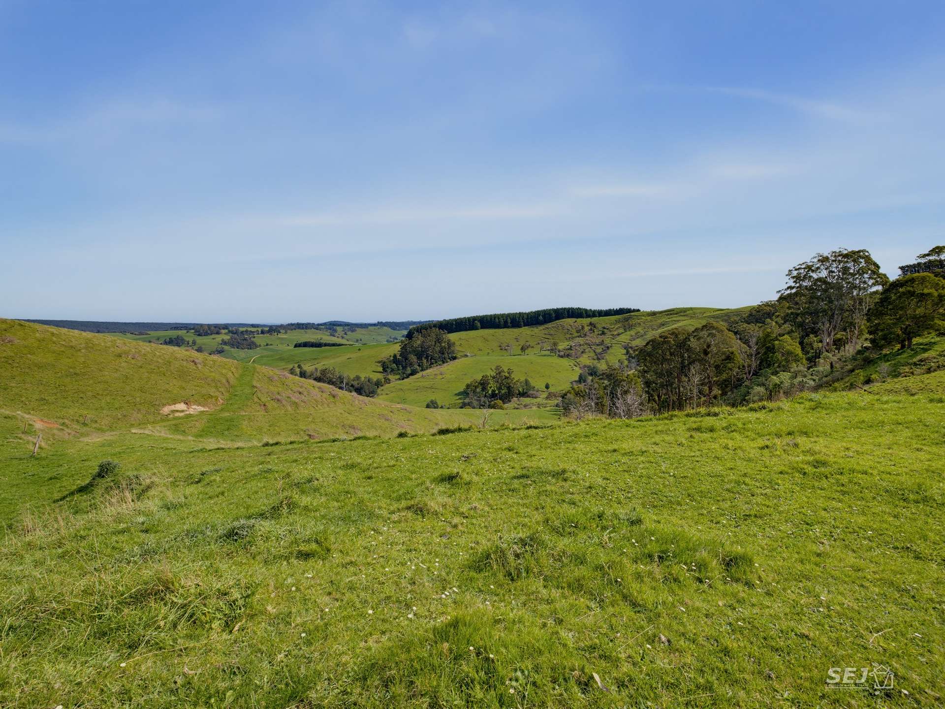 555 Mirboo - Yarragon Road, Allambee Reserve For Sale by Farmbuy.com - image 21