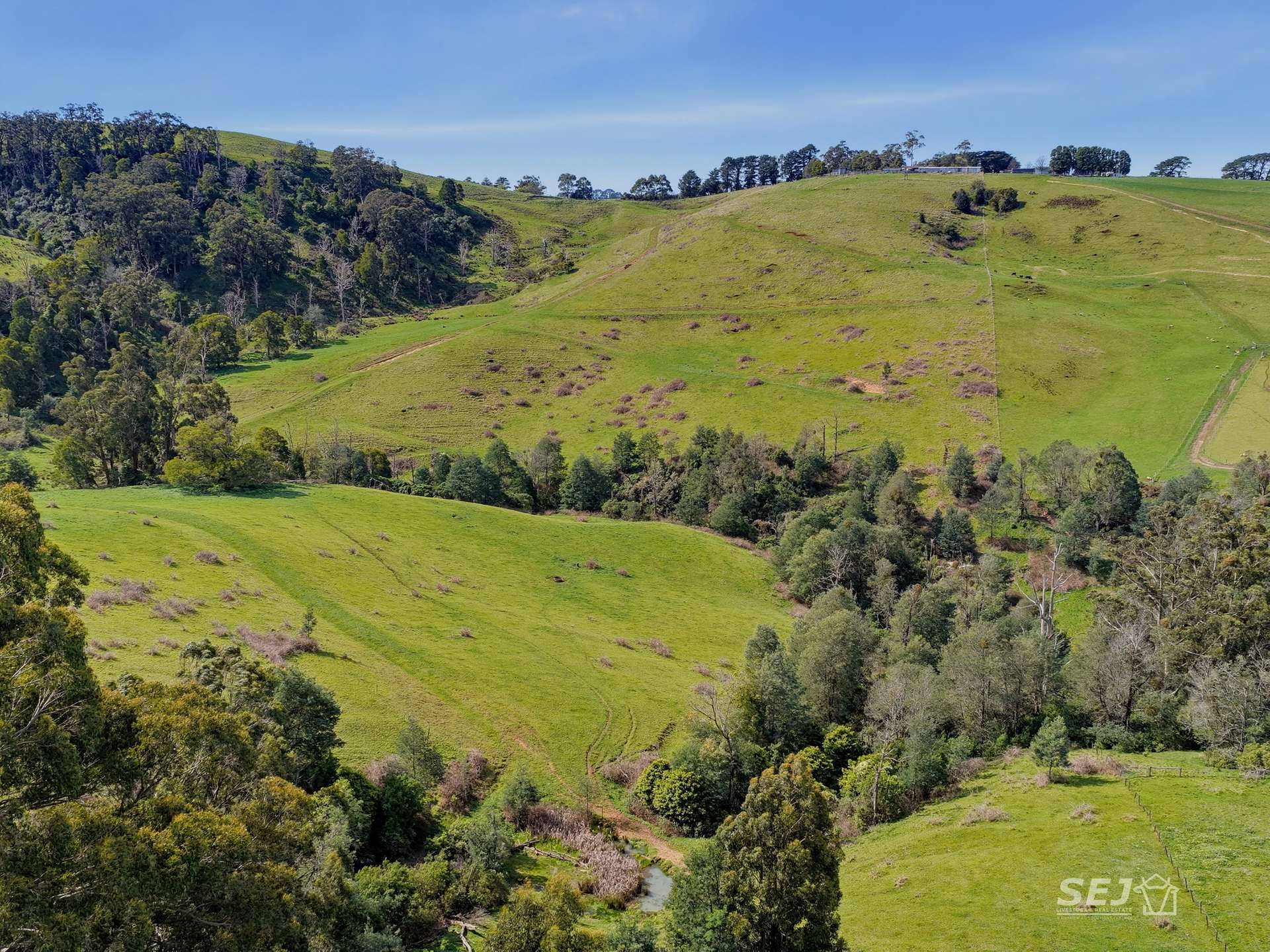 555 Mirboo - Yarragon Road, Allambee Reserve For Sale by Farmbuy.com - image 28