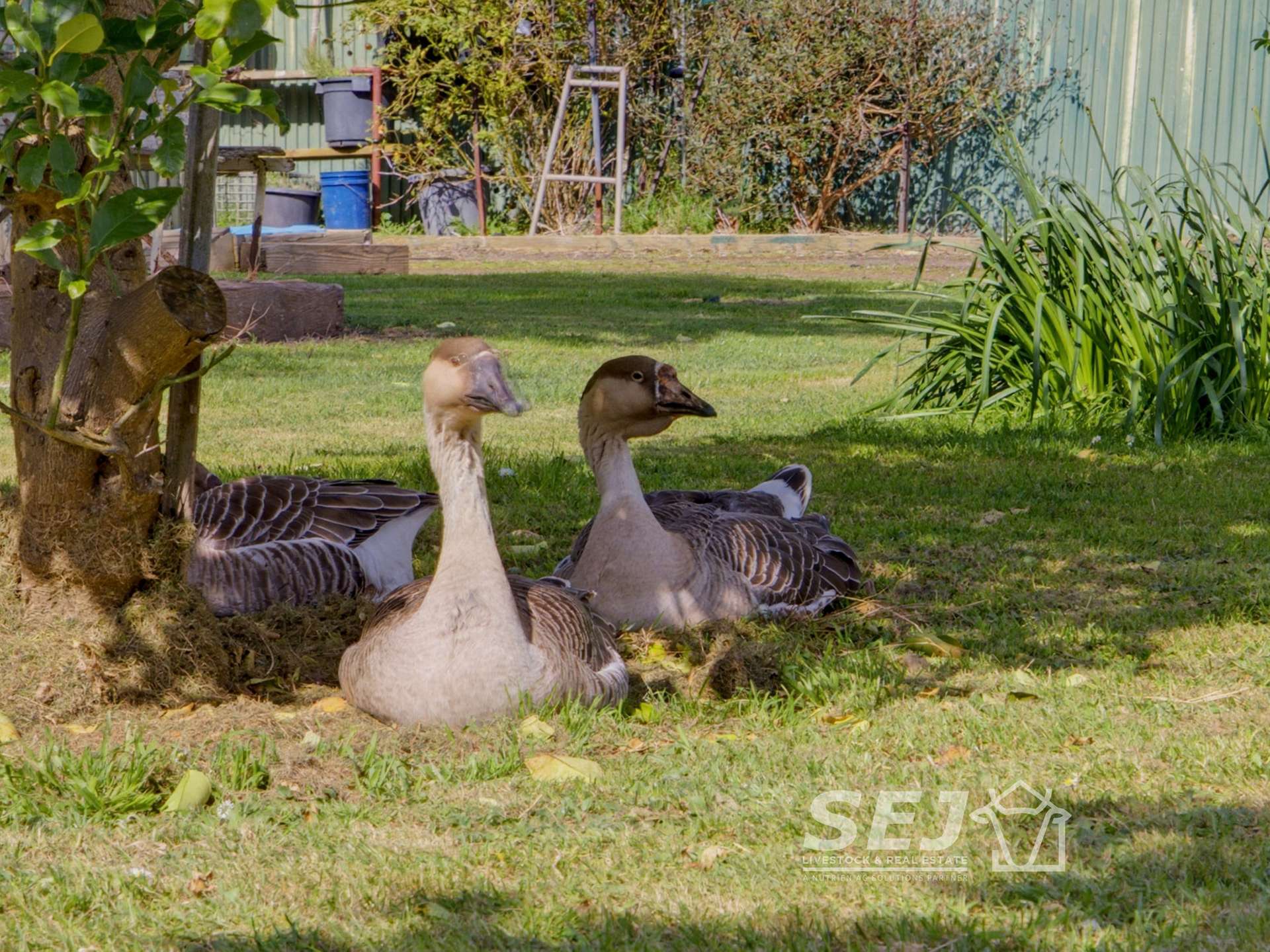 555 Mirboo - Yarragon Road, Allambee Reserve For Sale by Farmbuy.com - image 13