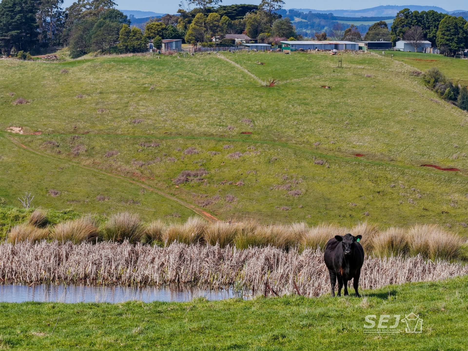 555 Mirboo - Yarragon Road, Allambee Reserve For Sale by Farmbuy.com - image 32