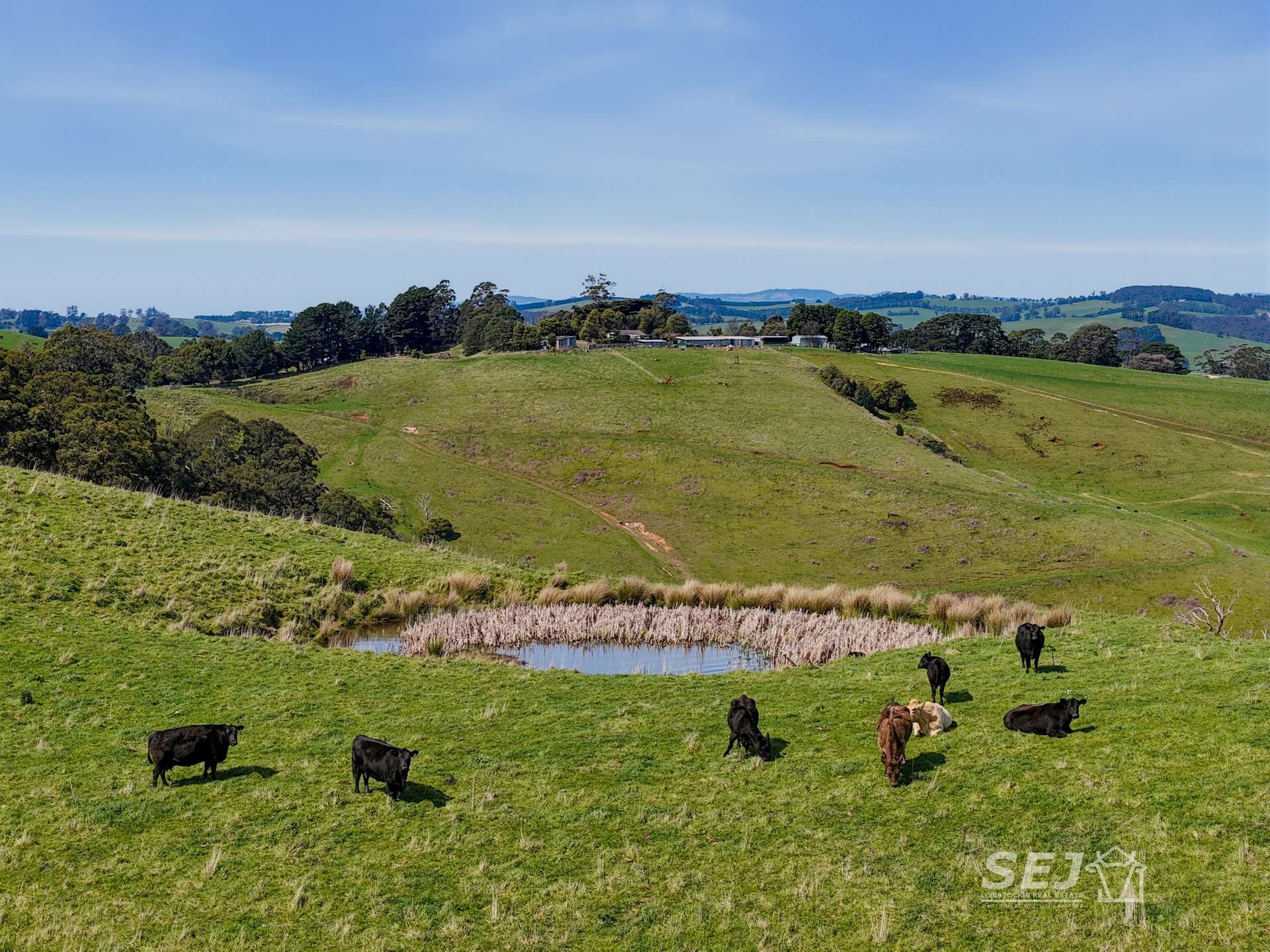 555 Mirboo - Yarragon Road, Allambee Reserve For Sale by Farmbuy.com - image 31