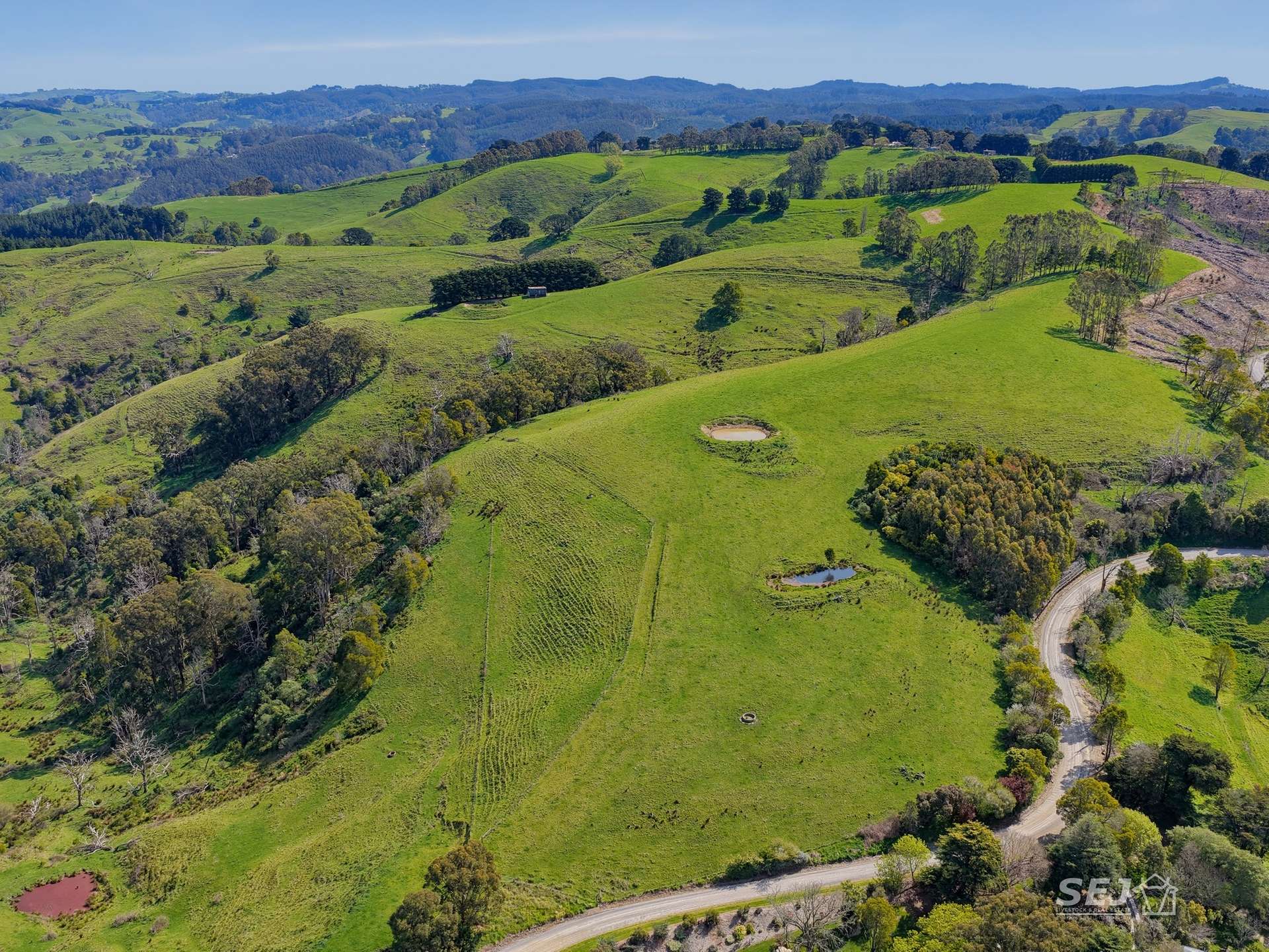 555 Mirboo - Yarragon Road, Allambee Reserve For Sale by Farmbuy.com - image 3