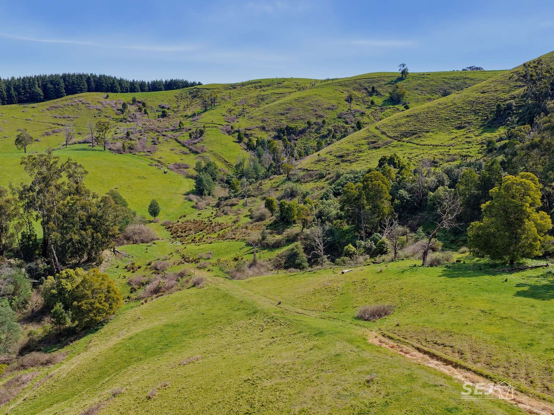 555 Mirboo - Yarragon Road, Allambee Reserve For Sale by Farmbuy.com - image 26