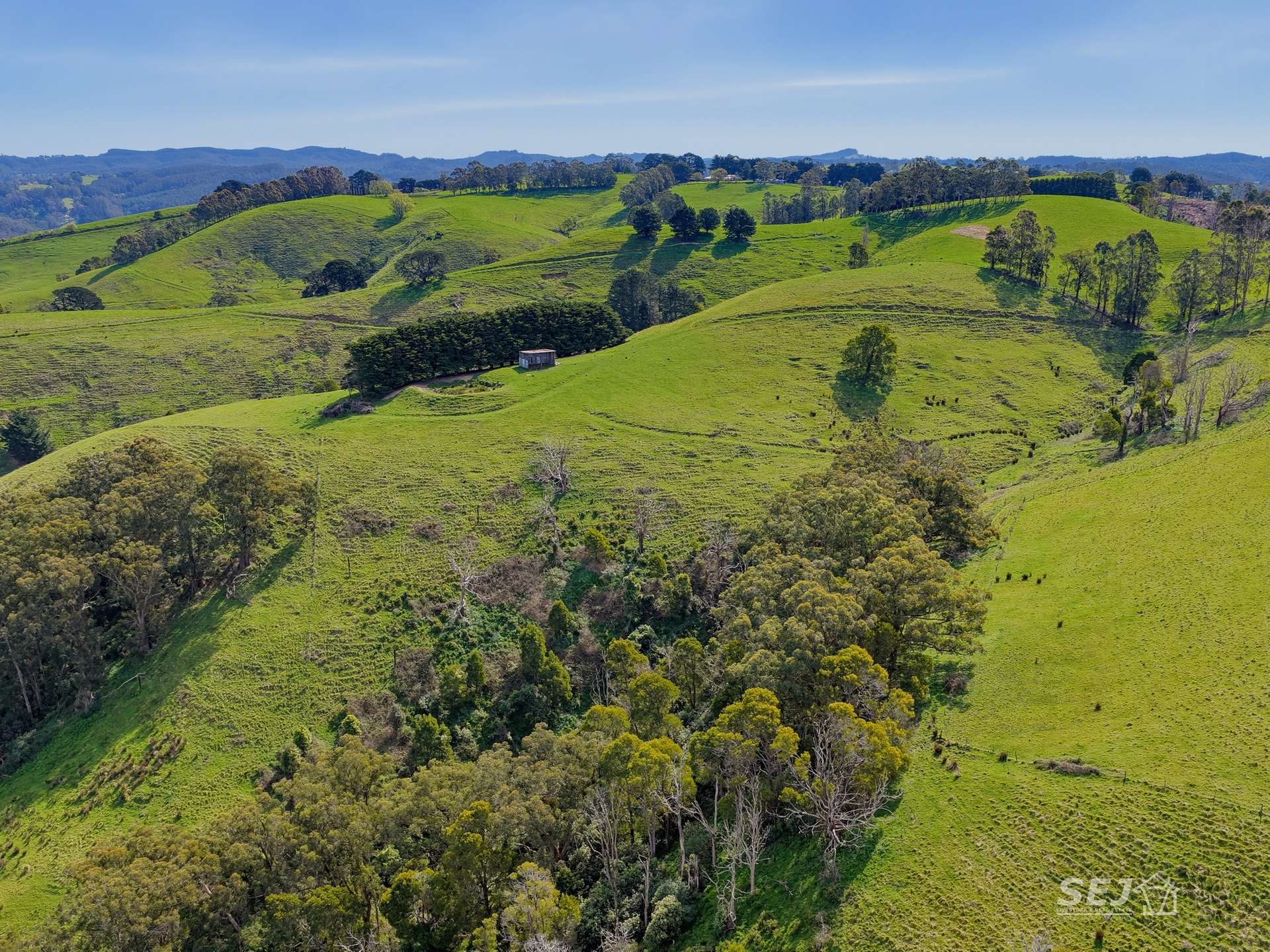 555 Mirboo - Yarragon Road, Allambee Reserve For Sale by Farmbuy.com - image 35