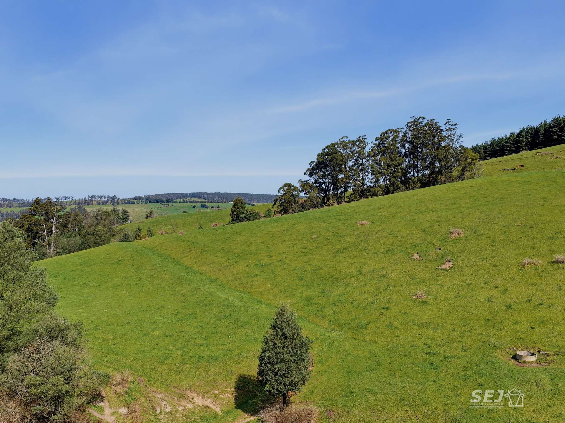 555 Mirboo - Yarragon Road, Allambee Reserve For Sale by Farmbuy.com - image 27