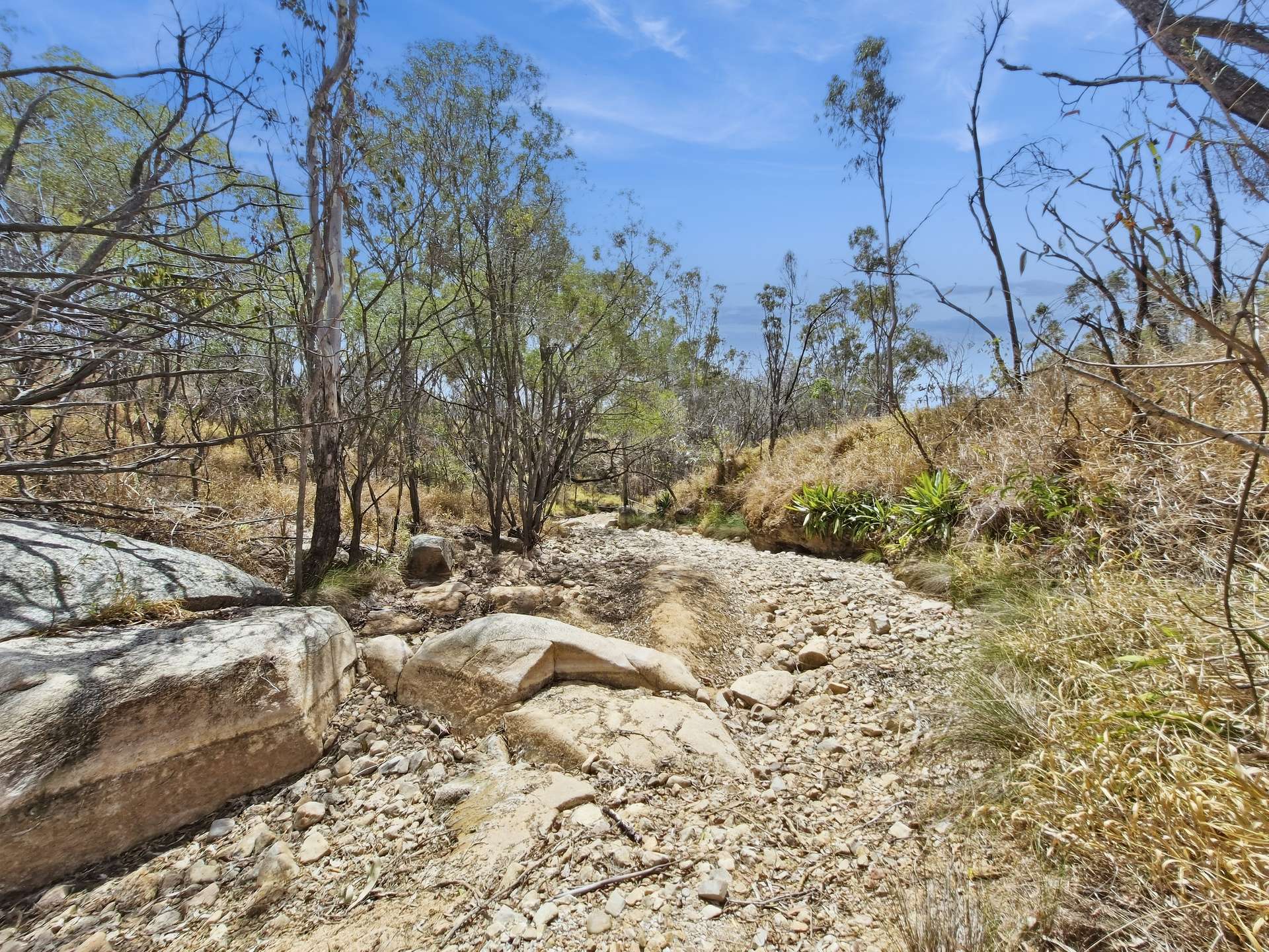 29 Bischoff Mill Road, Watsonville For Sale by Farmbuy.com - image 17