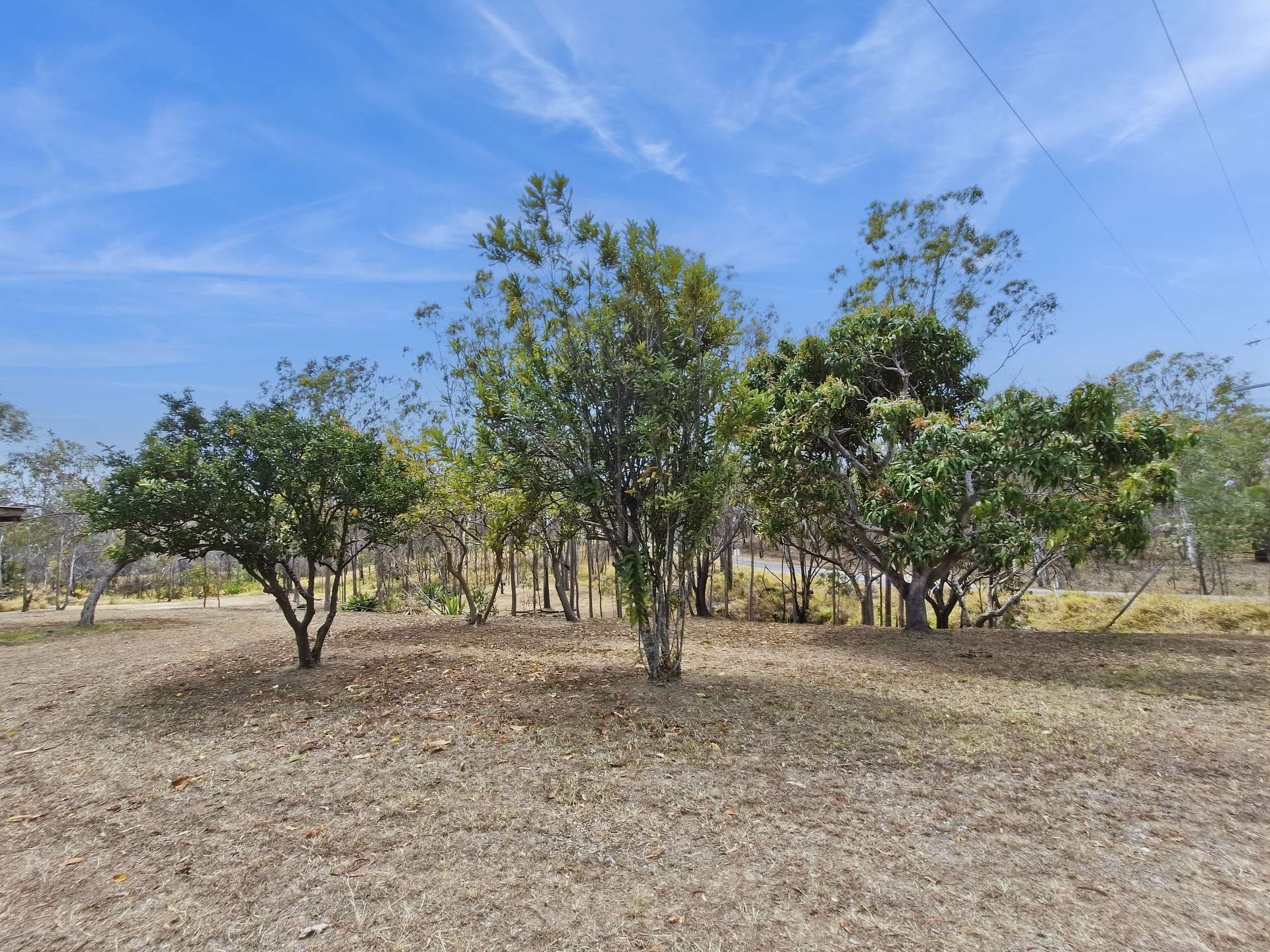 29 Bischoff Mill Road, Watsonville For Sale by Farmbuy.com - image 9
