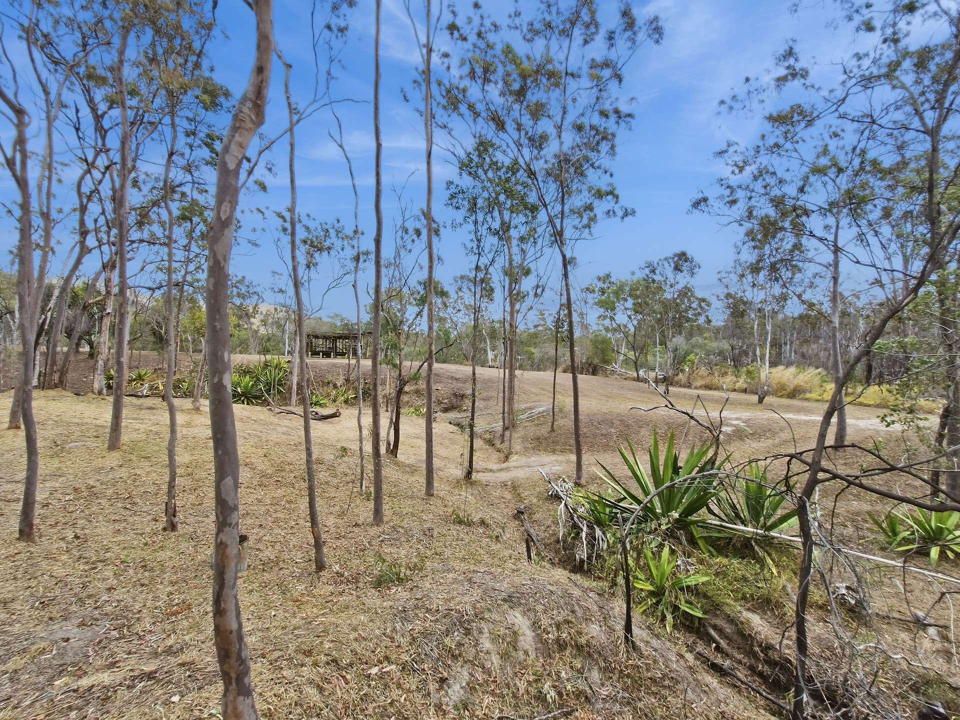 29 Bischoff Mill Road, Watsonville For Sale by Farmbuy.com - image 14