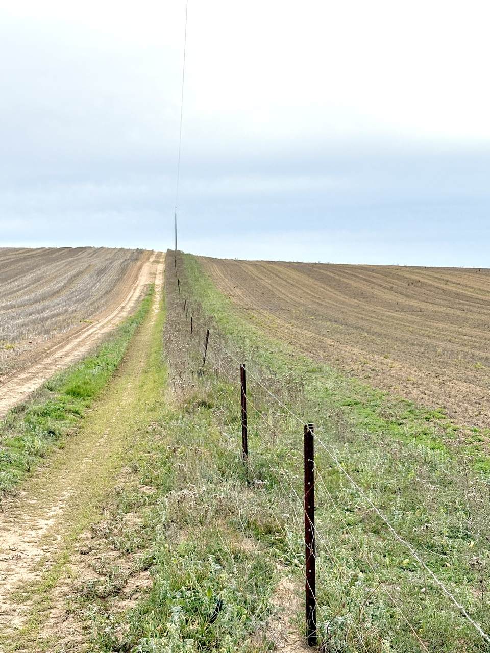 Section 6 Kopi West Road, Warramboo For Sale by Farmbuy.com - image 18