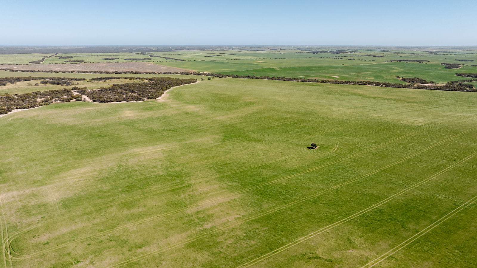 Section 6 Kopi West Road, Warramboo For Sale by Farmbuy.com - image 7