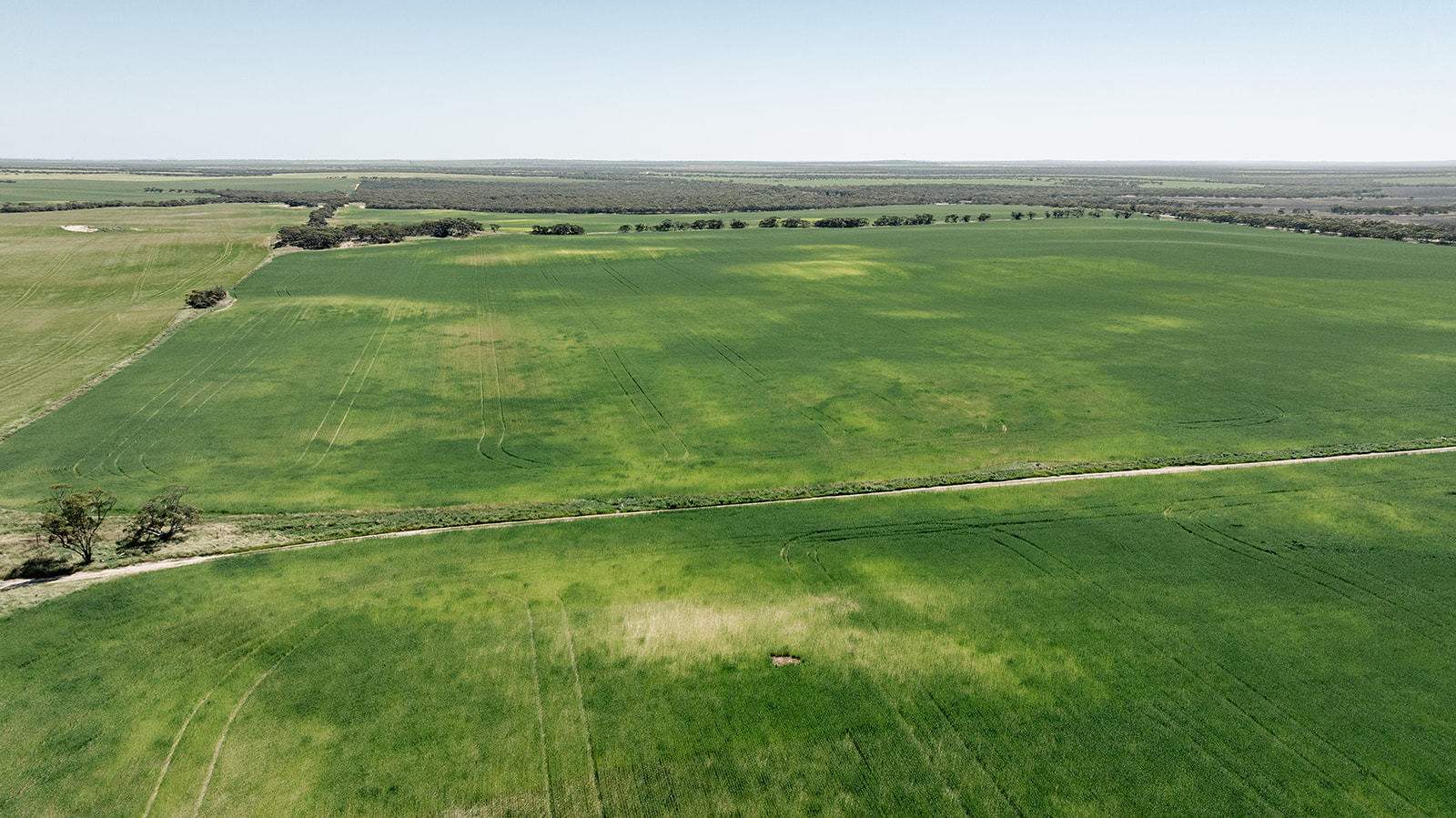 Section 6 Kopi West Road, Warramboo For Sale by Farmbuy.com - image 9