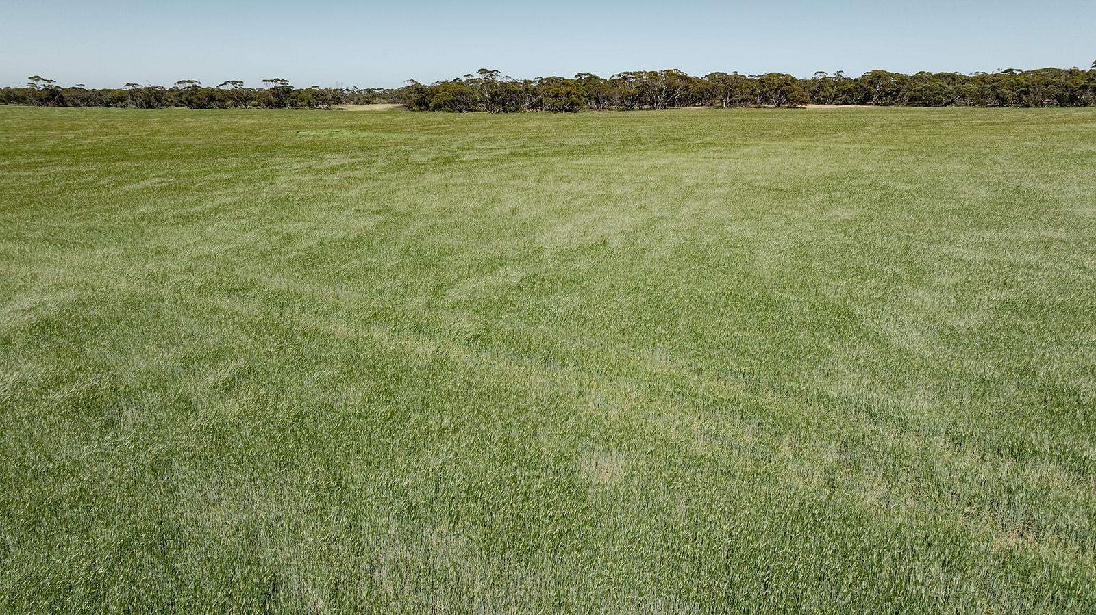 Section 6 Kopi West Road, Warramboo For Sale by Farmbuy.com - image 10