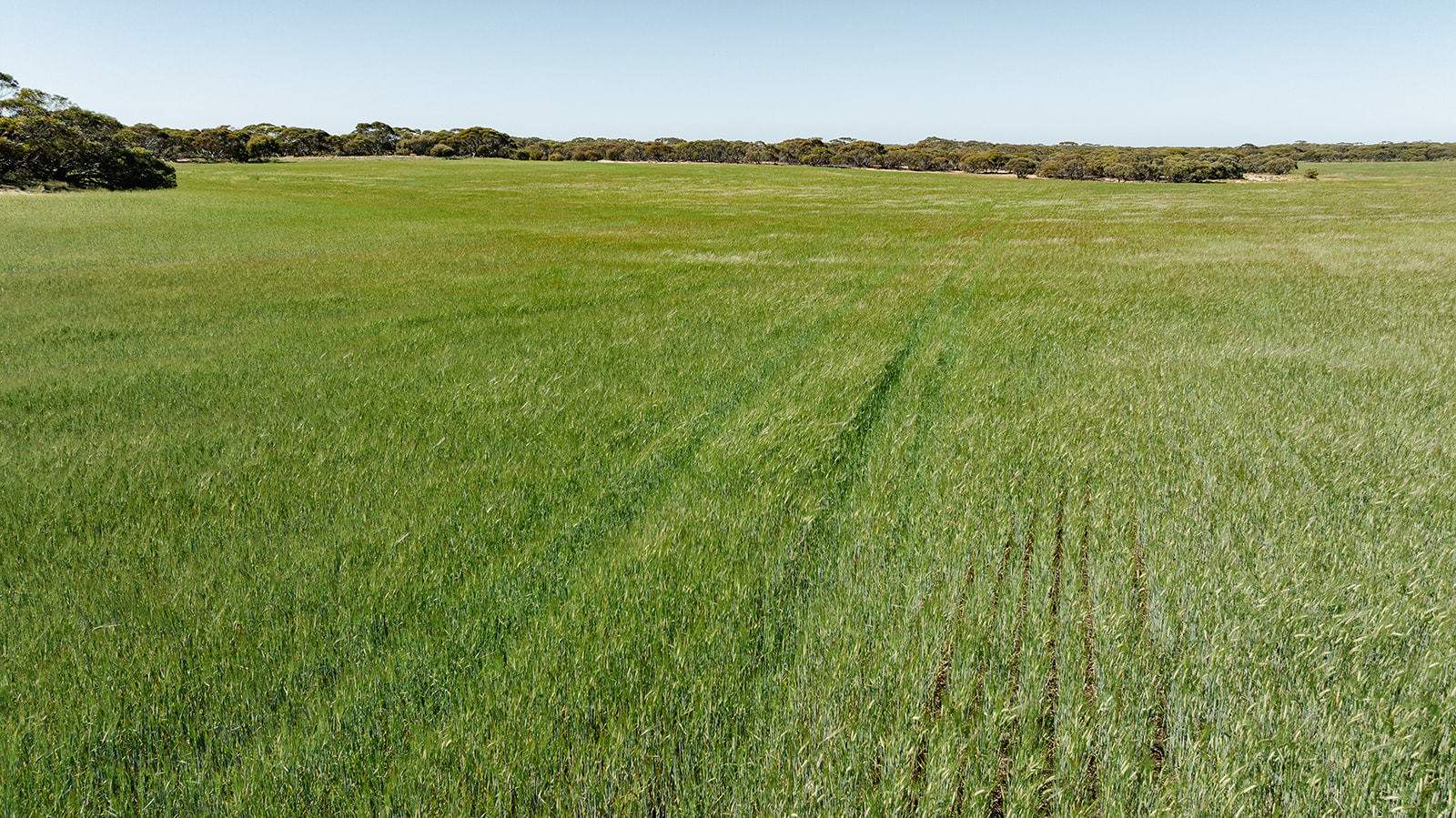 Section 6 Kopi West Road, Warramboo For Sale by Farmbuy.com - image 12