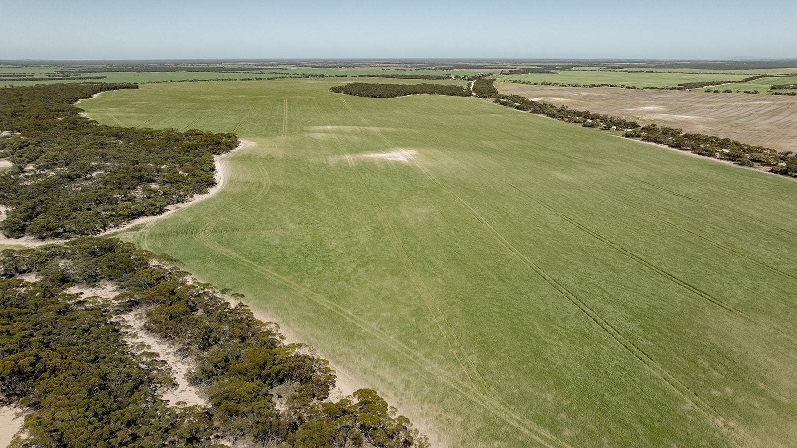 Section 6 Kopi West Road, Warramboo For Sale by Farmbuy.com - image 13