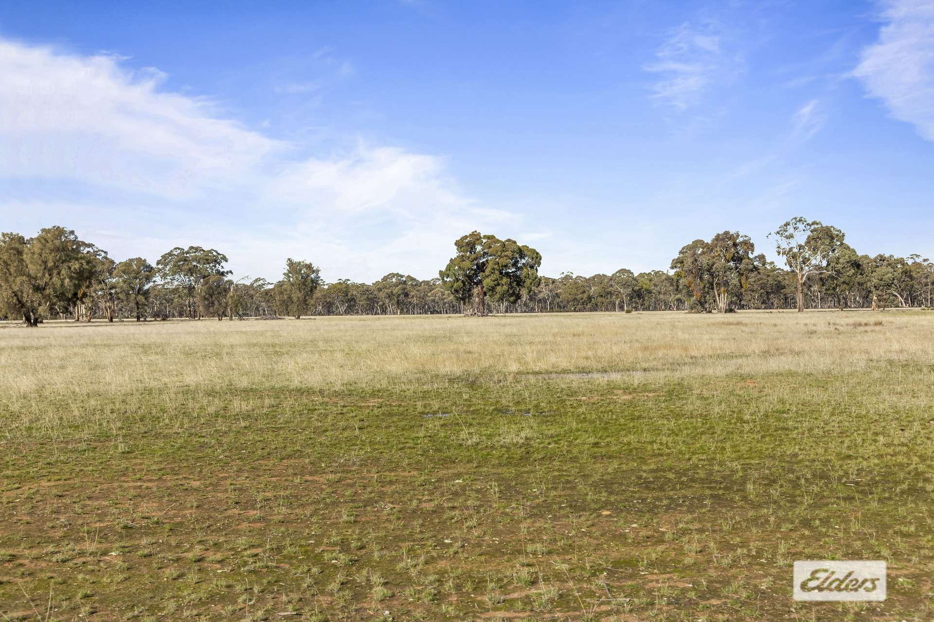 Deep Lead For Sale by Farmbuy.com - image 2