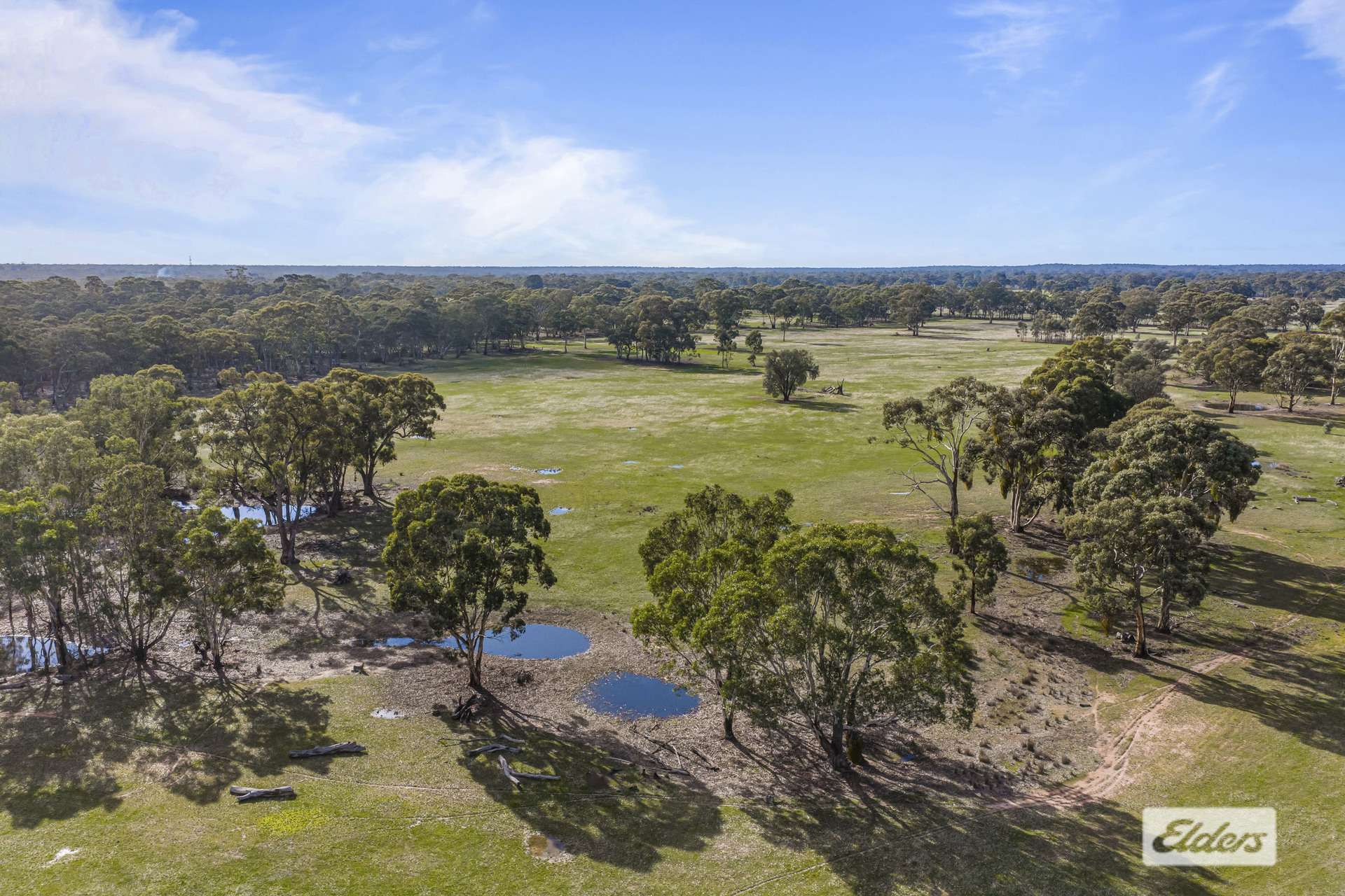 Deep Lead For Sale by Farmbuy.com - image 9