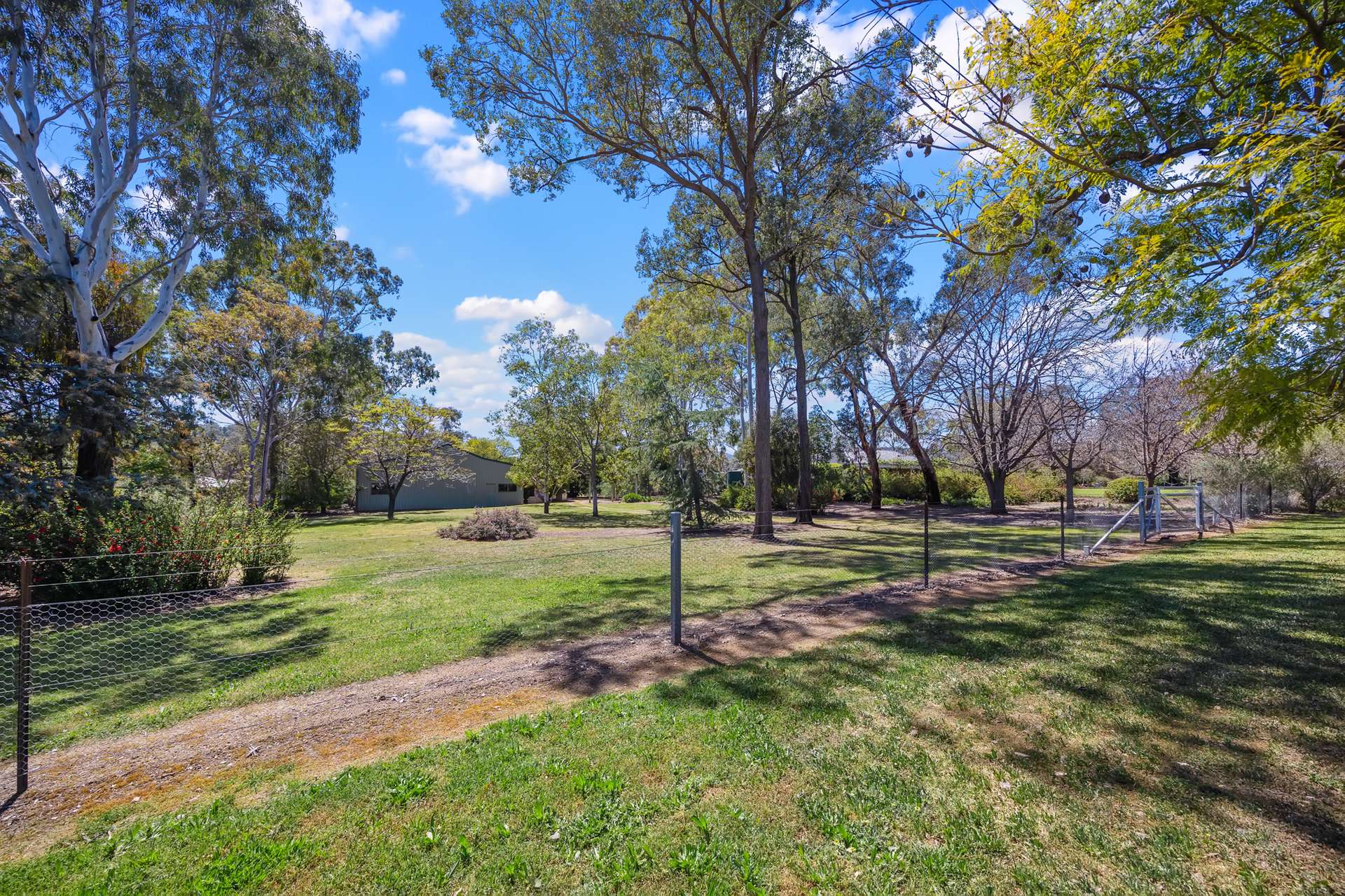 236 Bournes Lane, Tamworth Auction by Farmbuy.com - image 20