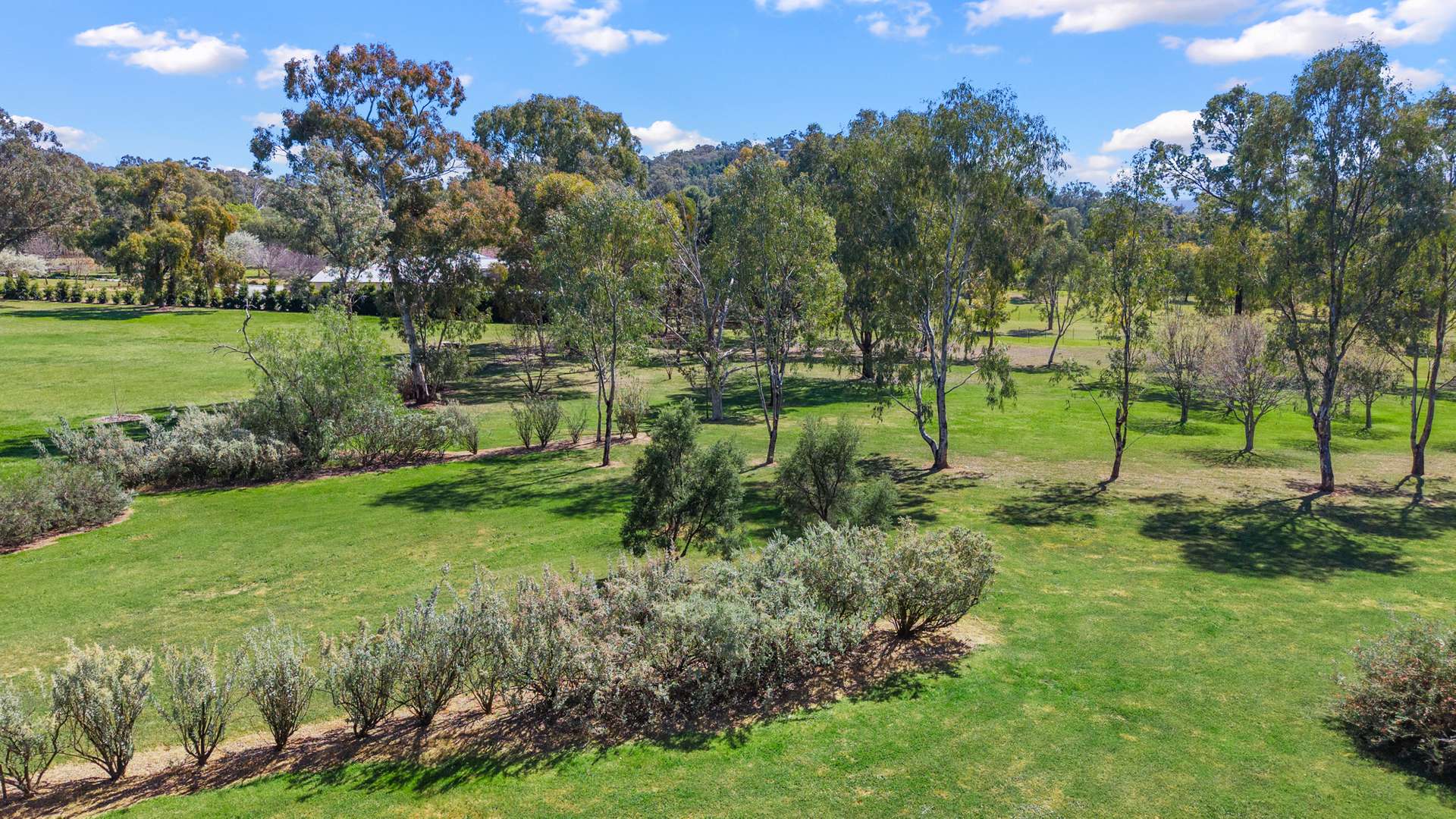 236 Bournes Lane, Tamworth Auction by Farmbuy.com - image 18